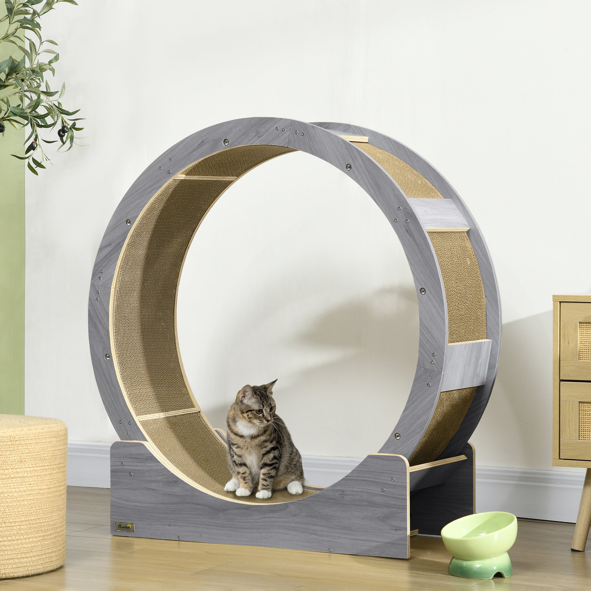 PawHut Cat Wheel for Indoor Cats, Cat Treadmill with Brake, Scratching Pads, Cat Exercise Wheel for Health - Grey