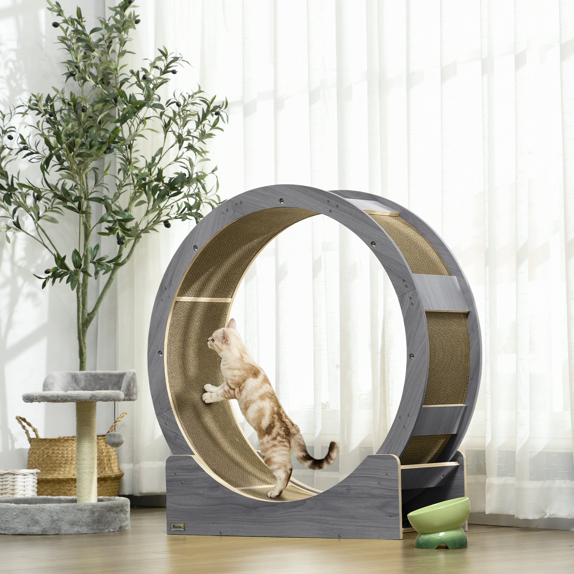 PawHut Cat Wheel for Indoor Cats, Cat Treadmill with Brake, Scratching Pads, Cat Exercise Wheel for Health - Grey
