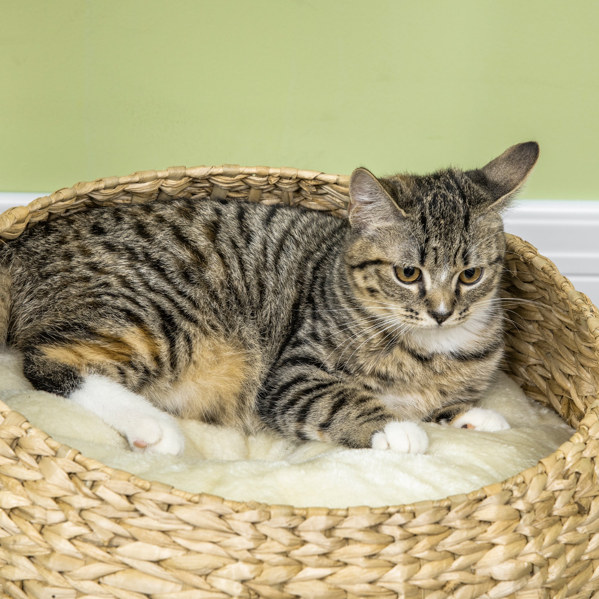 PawHut 72cm Cat Tree for Indoor Cats with 2 Beds, Kitten Tower with Scratching Post, Toy Ball - Beige