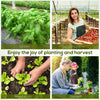 Outsunny 26' x 10' x 6.6' Large Walk in Tunnel Greenhouse Garden Plant Seed Green House Premium Steel Frame, Dark Green
