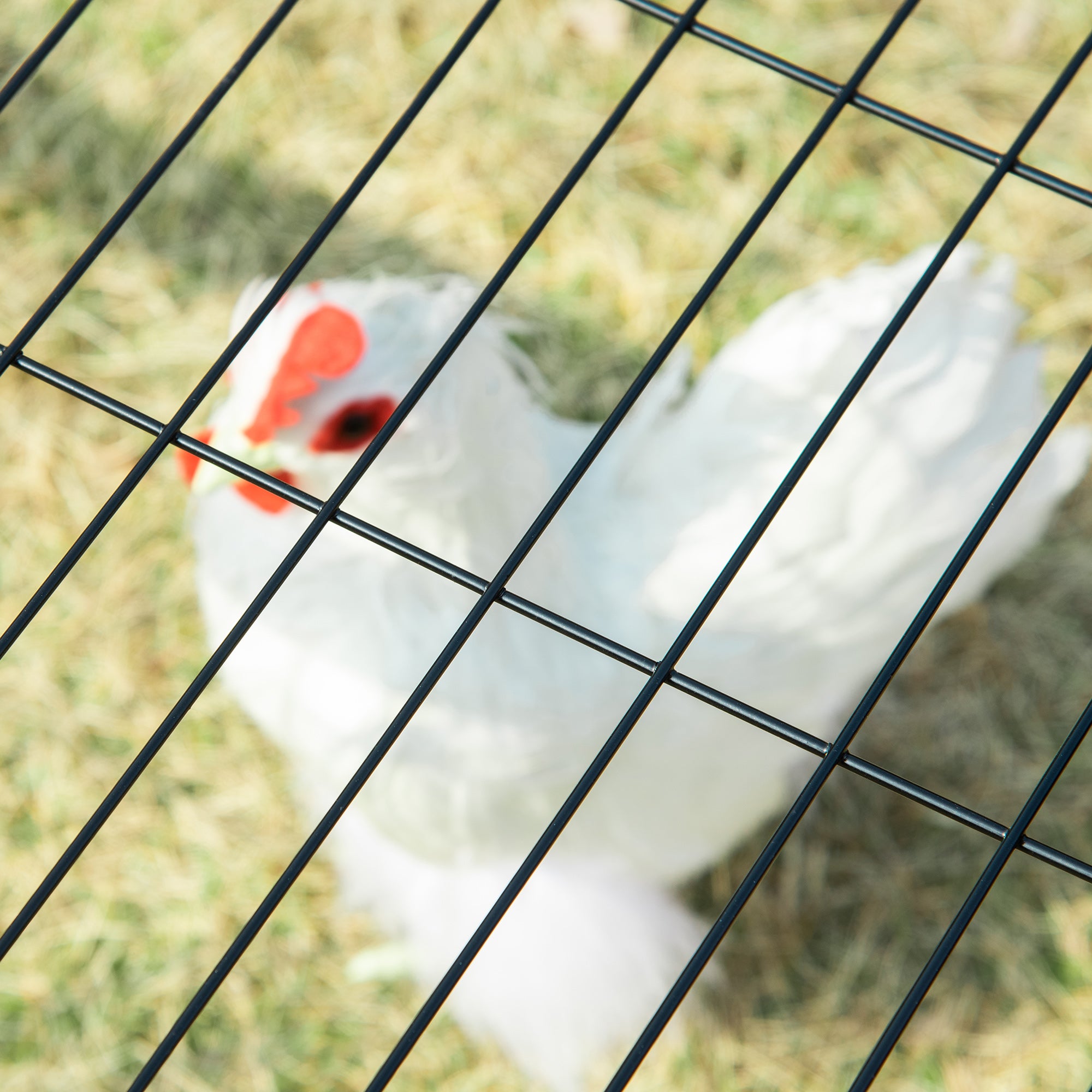 PawHut 79in Large Metal Chicken Coop, Outdoor Hen House Poultry Duck Goose Cage with Water-Resistant Canopy, Run, Nesting Box, Lockable Doors, Green