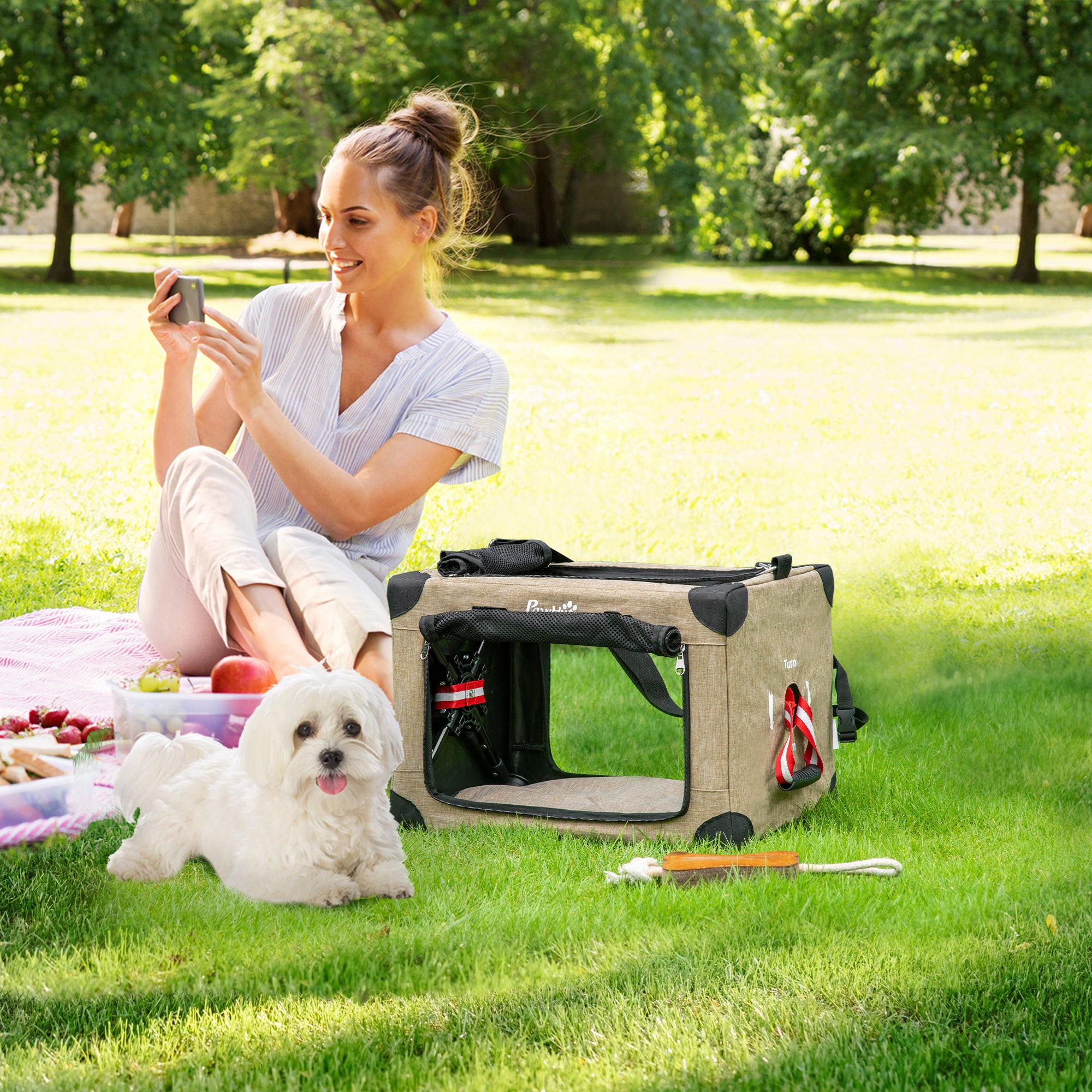 PawHut Foldable Pet Carrier for Miniature Dogs, Portable Cat Carrier Soft Side Pet Travel Crate with Removable Mat, Breathable Mesh - 50 x 34 x 33 cm