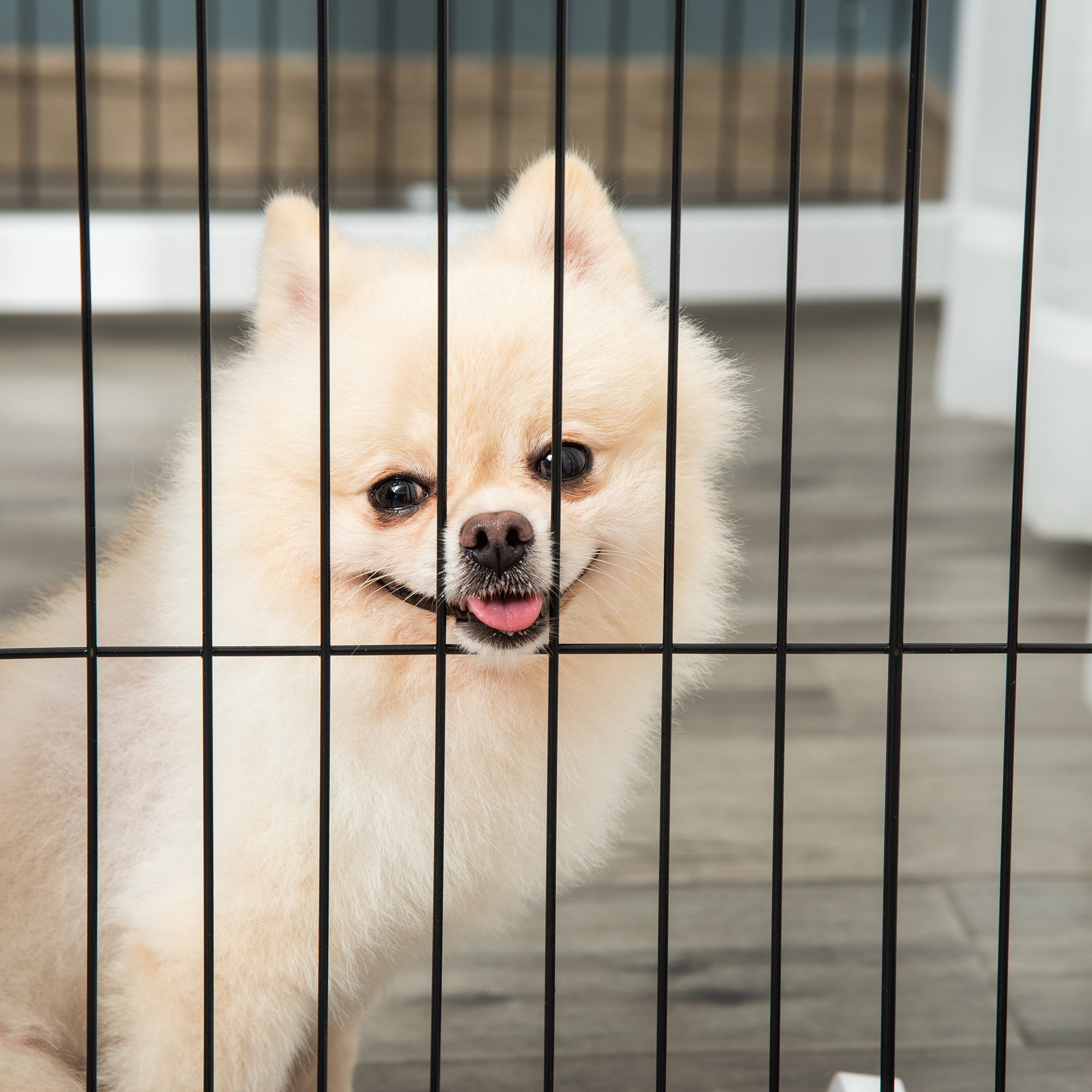 PawHut Freestanding Pet Gate 4 Panel Wooden Dog Barrier Foldable Safety Fence with Support Feet 264cm Long 77cm Tall for Doorway Stairs White