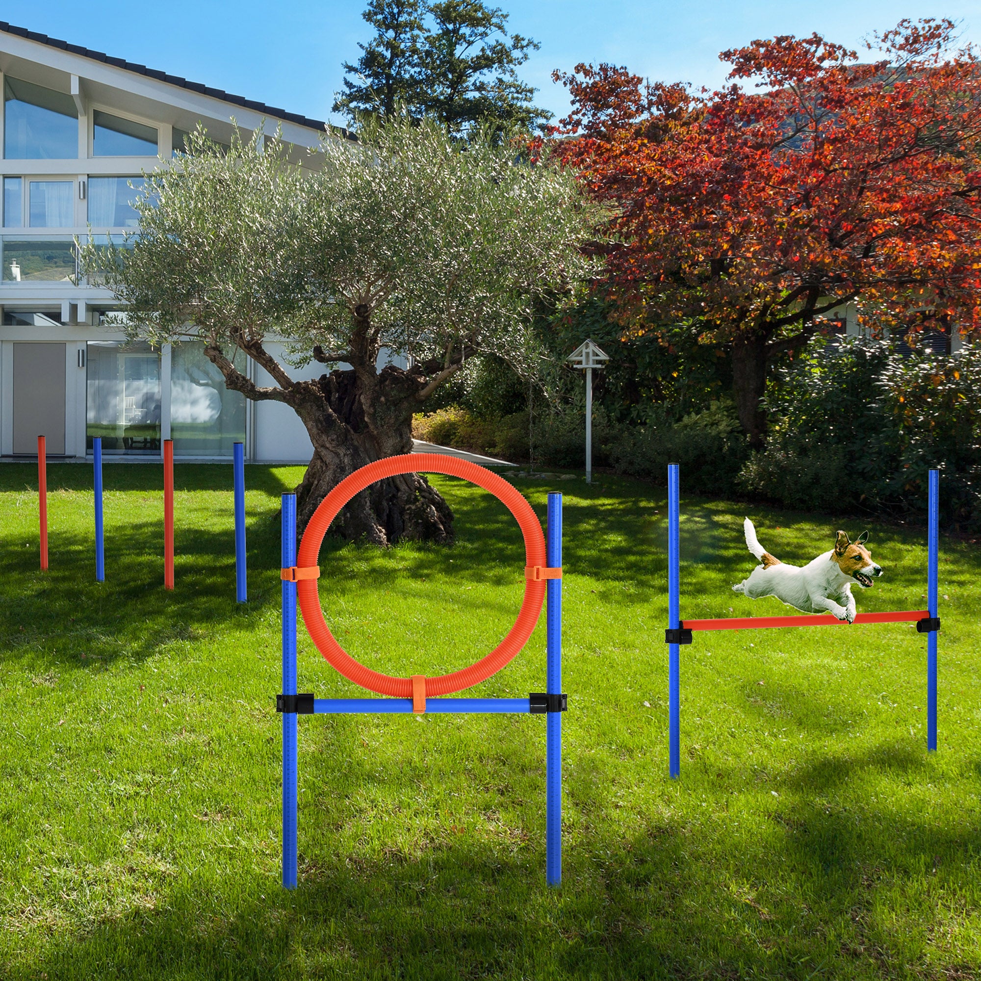 PawHut Dog Pet Agility Training Kit High Jump Weave Pole Ring Obedience Training Set Adjustable Equipment Portable