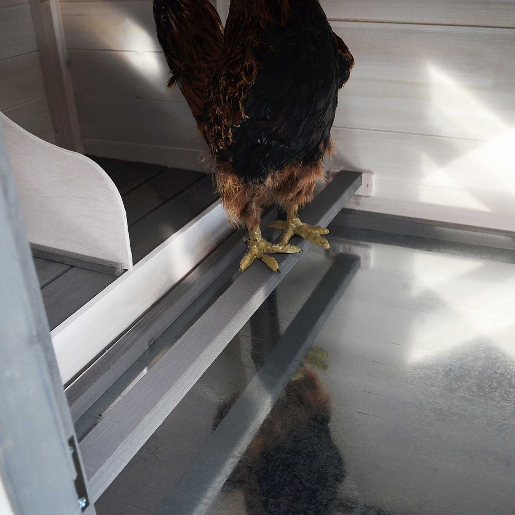 PawHut 77" Chicken Coop Hen House Rabbit Hutch Poultry Cage Pen Outdoor Backyard with Nesting Box Run White and Dark gray