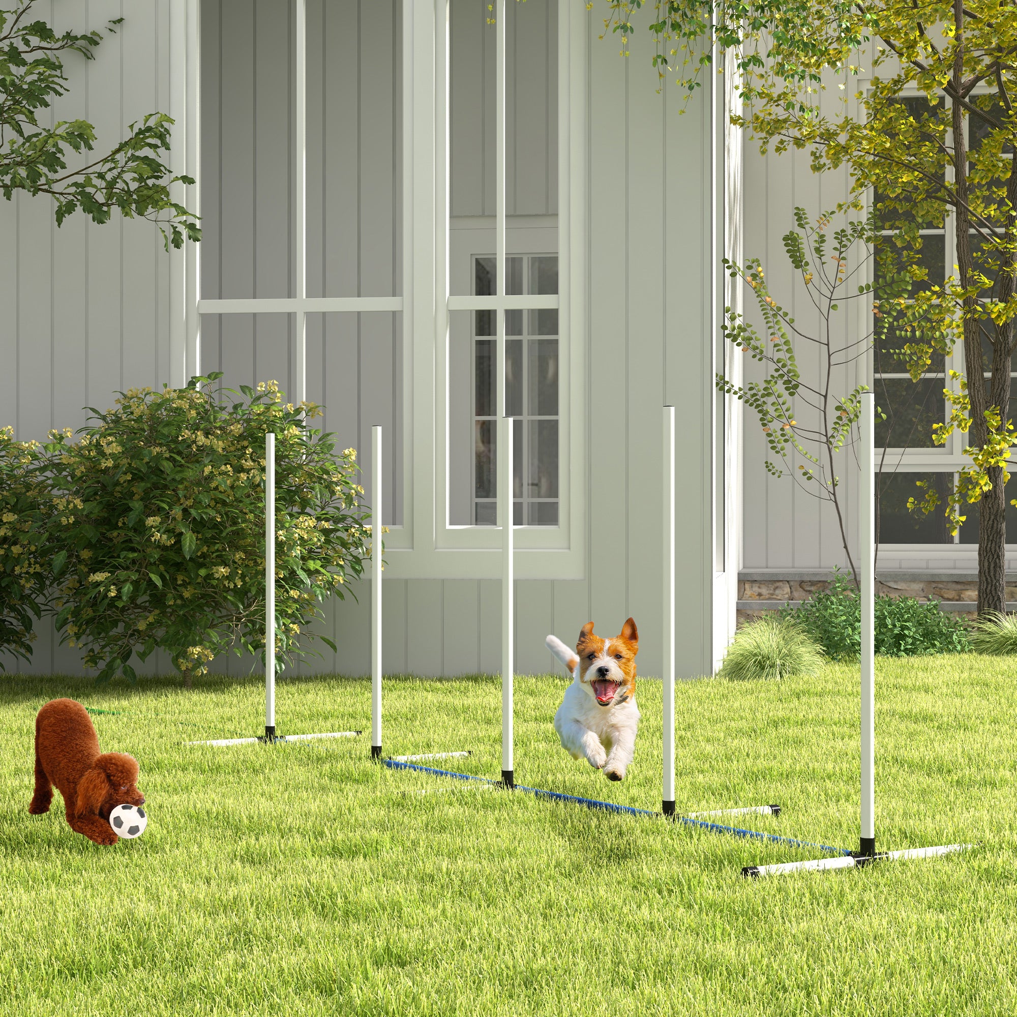 PawHut 2PCs Dog Agility Equipment Set, Dog Agility Kit with Weave Poles, Spray Water Tube, Whistle, Carry Bag, for Outdoor, Backyard, Garden, White