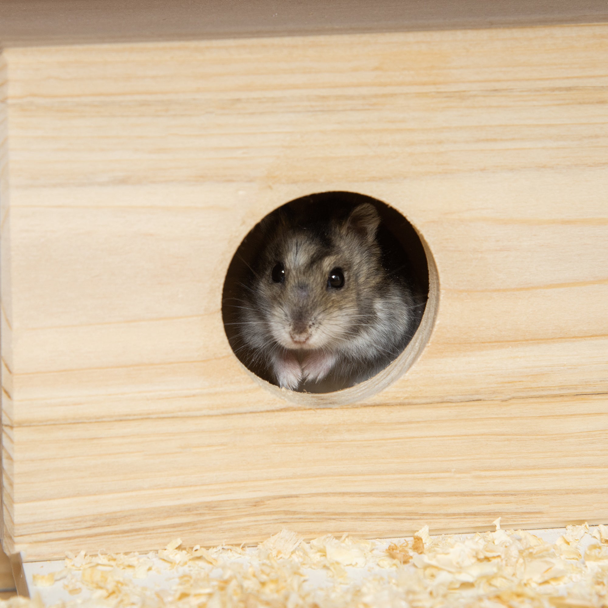 PawHut Wooden Hamster Cage with Pull-Out Tray, Two Tier Small Animal Hutch with Openable Top, Ladder, Seesaw, Running Wheel,  - Natural