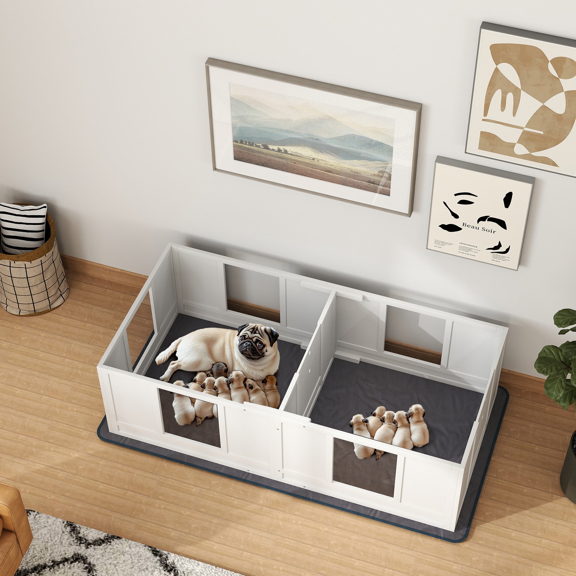 PawHut Whelping Box for Dogs with Water-Resistant Washable Whelping Pad, Dog Whelping Box with Clear Panels, Adjustable Entrance, Two Room Design, Non-Slip Foot Pads, for Small Dogs, 164 x 80cm