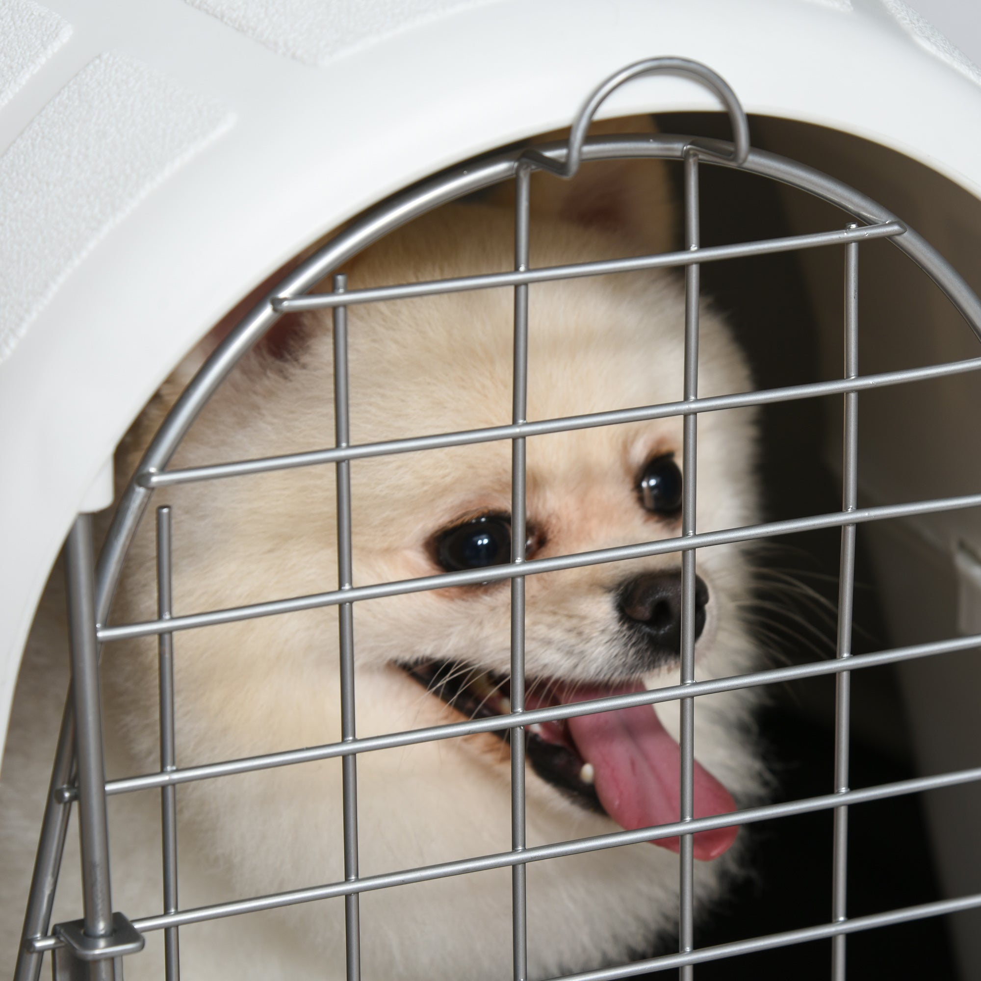 PawHut Plastic Igloo Dog House Puppy Kennel Pet Shelter with Windows for Small Sized Dogs Easy to Clean White