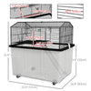 PawHut Hamster Cage with Accessories, Portable Gerbil Habitat for Dwarf Hamster and Syrian Hamster with Detachable Bottom, Ramp, Platform, Food Bowl, Water Bottle, 22" x 17" x 22"