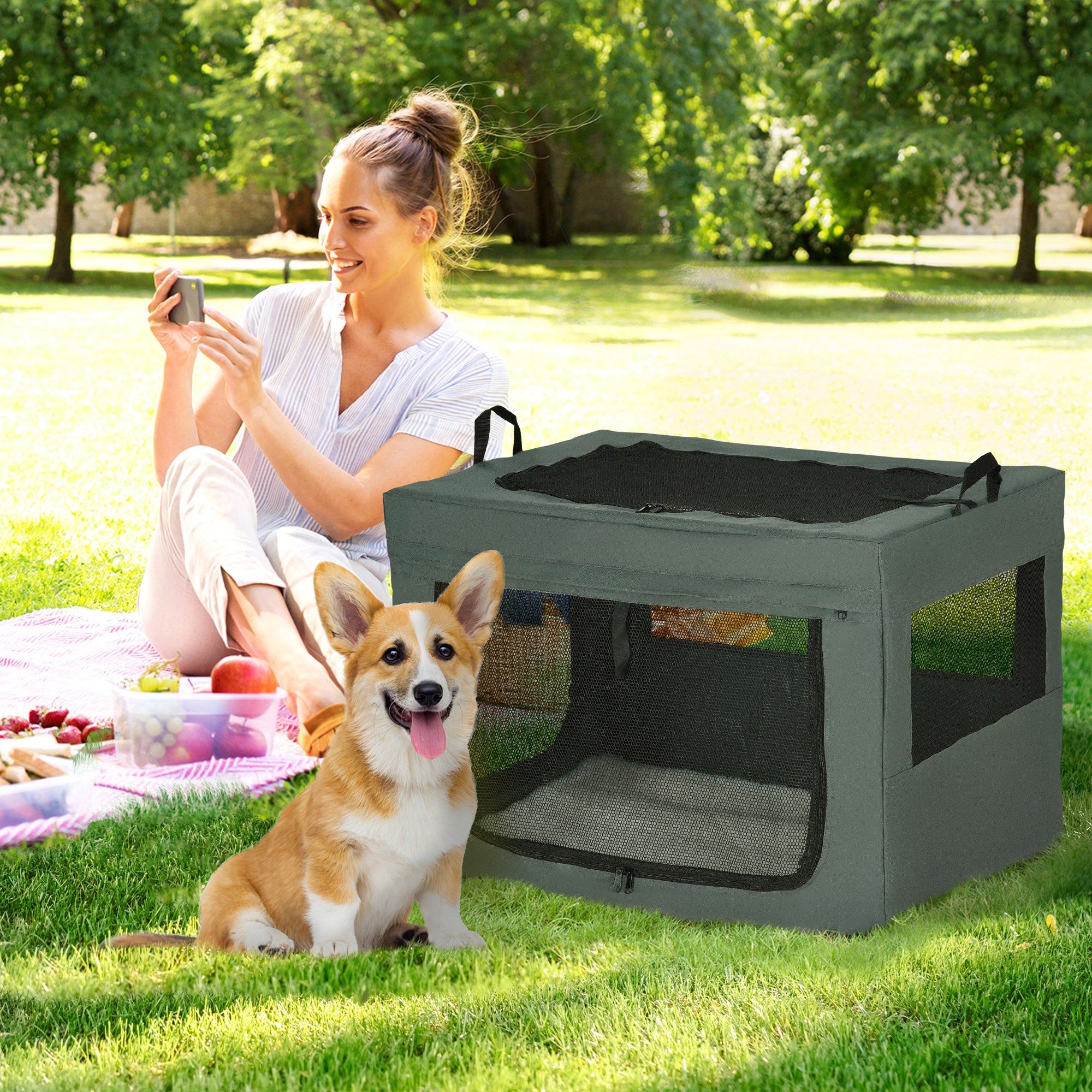 PawHut 80cm Pet Carrier for Small, Medium Dogs, Portable Cat Carrier Soft Side Pet Travel Crate with Removable Mat, Carry Bag, Breathable Mesh Window Door - Grey