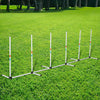 PawHut Adjustable Dog Agility Training Obstacle Set with Weaves Poles and Storage Bag for Pet Dogs Outdoor Games Exercise White