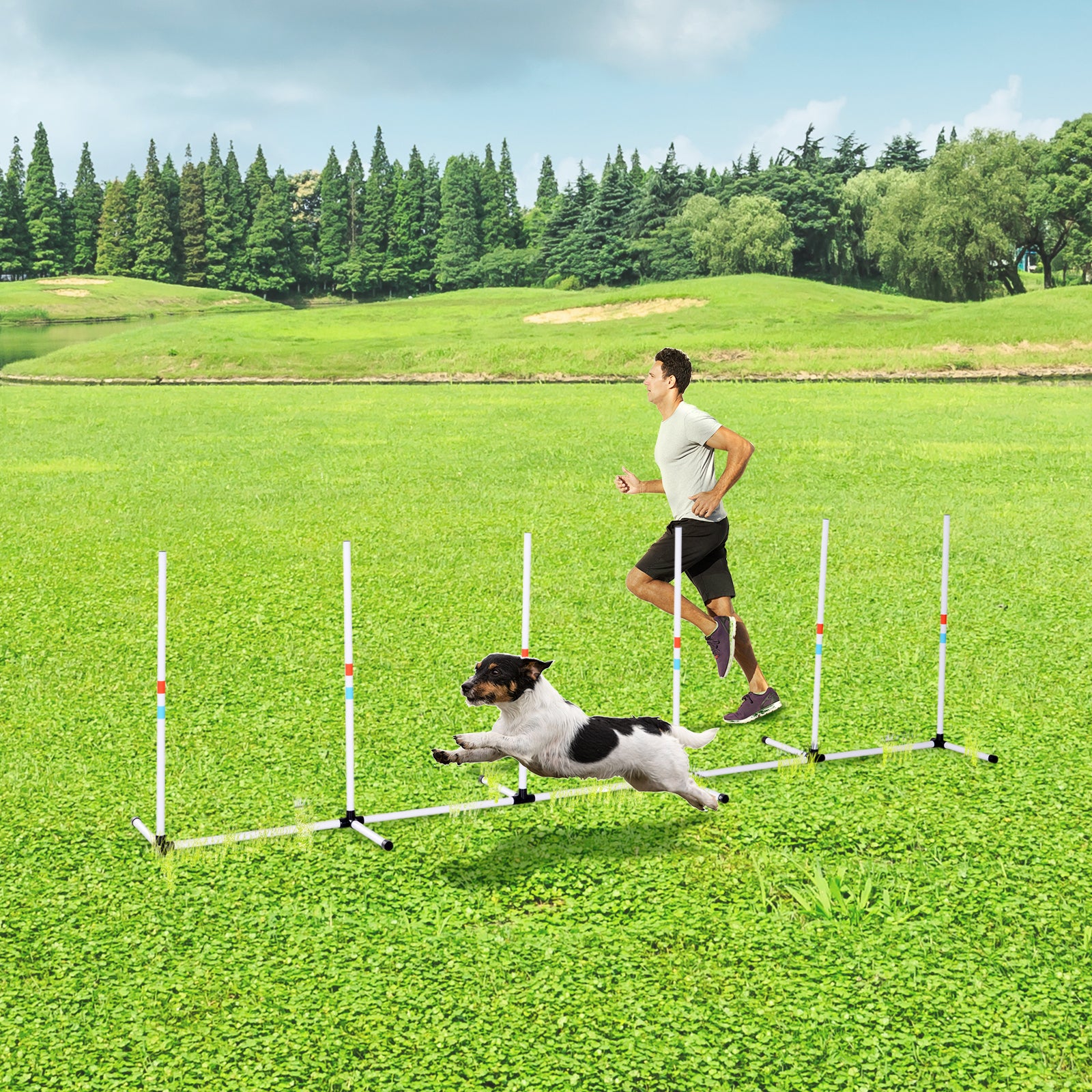 PawHut Adjustable Dog Agility Training Obstacle Set with Weaves Poles and Storage Bag for Pet Dogs Outdoor Games Exercise White