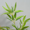Outsunny 4FT Bamboo Silk Artificial Tree Fake Tropical Tree Imitation Leaf Faux Decorative Plant in Nursery Pot for Indoor Outdoor Decor