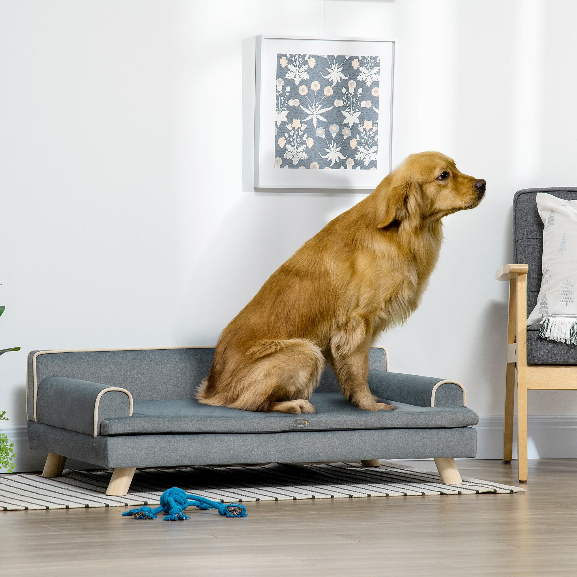 PawHut Dog Sofa, Large Dog Couch with Washable Cover, Wooden Legs, Foam Pet Sofa, Elevated Fancy Dog Bed for Medium & Large Dogs, Gray