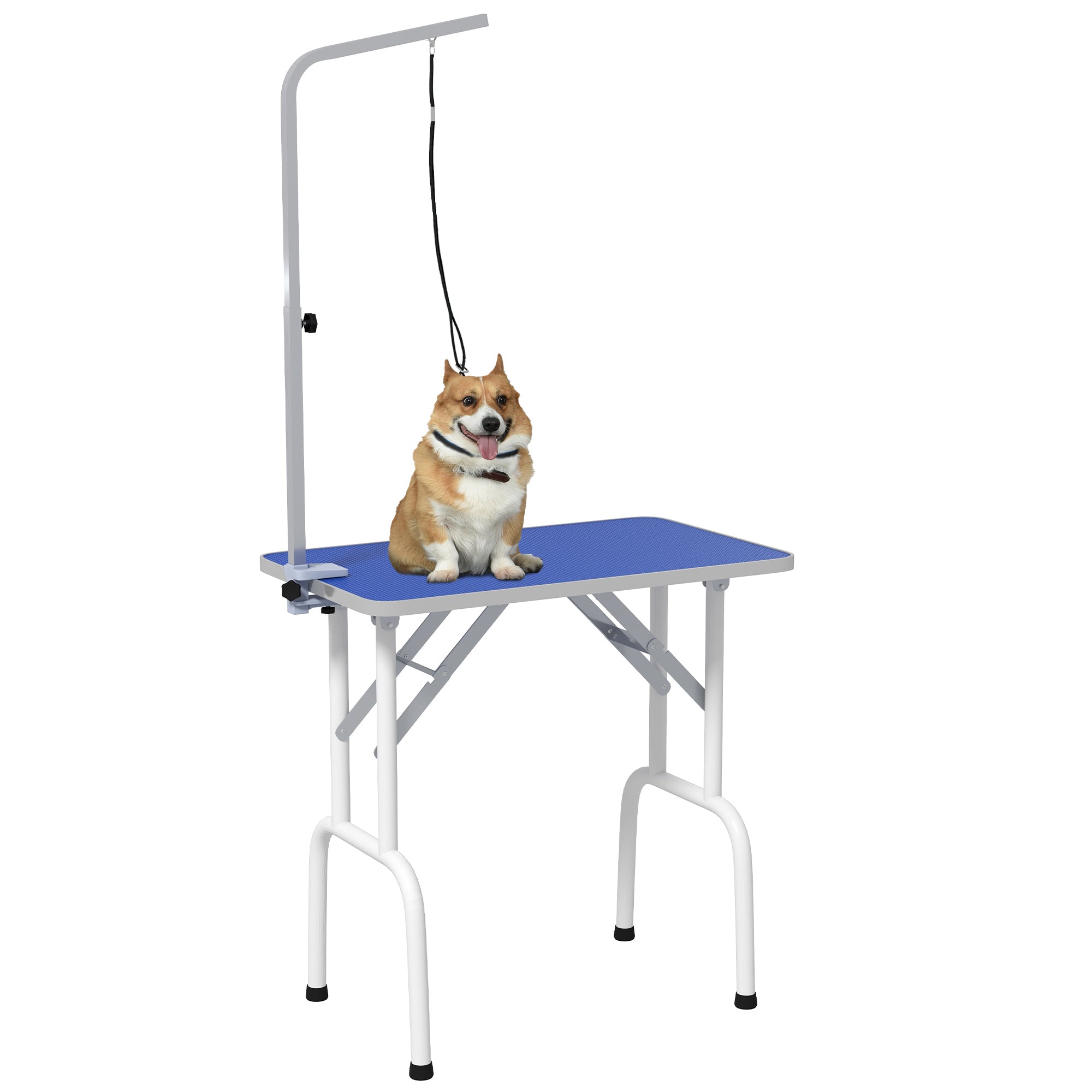 PawHut 32in Foldable Dog Grooming Table for Small Dogs, Pet Grooming Table for Dogs Cats with Adjustable Arm, Non-Slip Surface, Blue