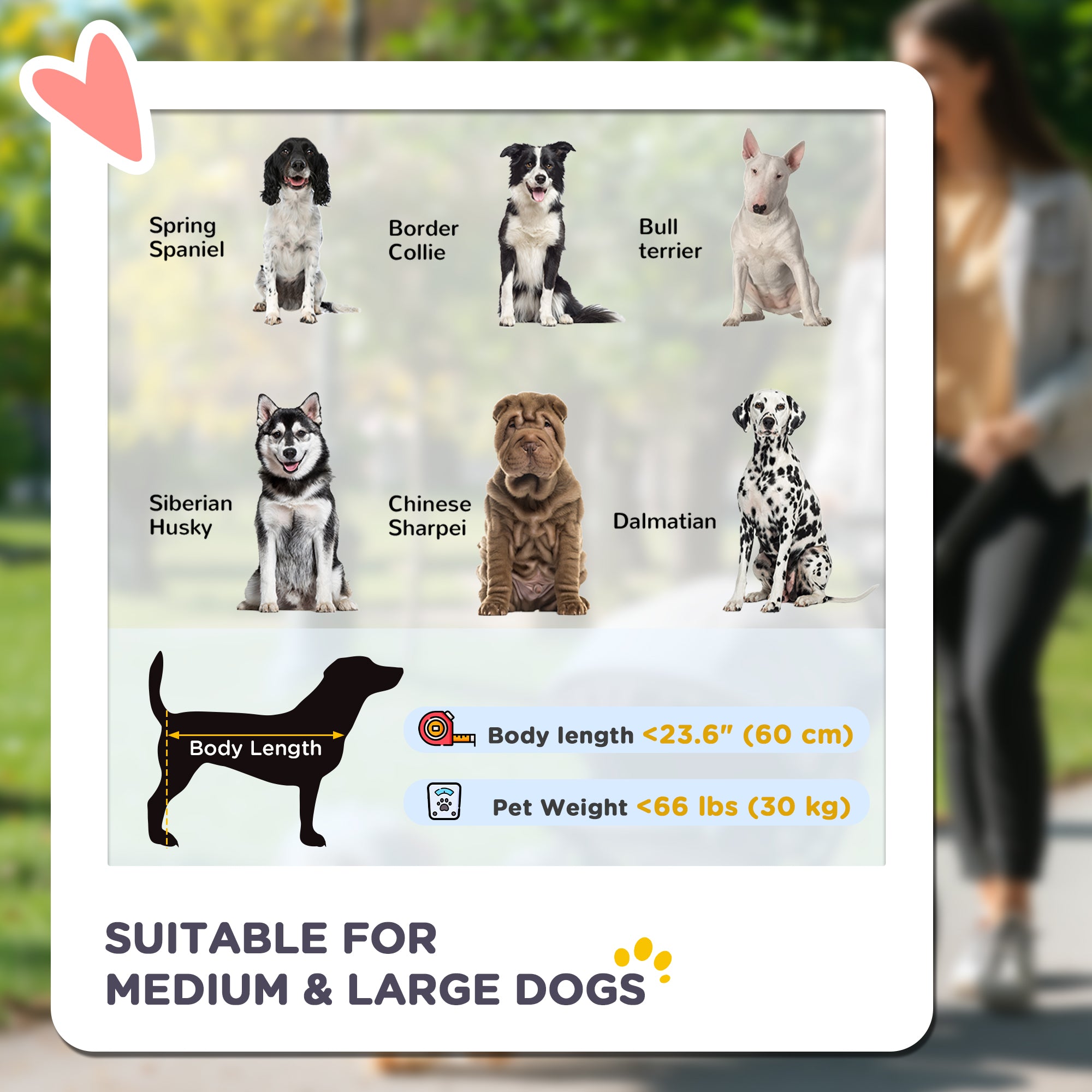 PawHut Pet Stroller with Universal Front Wheels, Shock Absorber, One-Click Foldable Dog Cat Carriage with Brakes, Storage Bags, Safety Leash for Large & Medium Dogs, Dark Gray