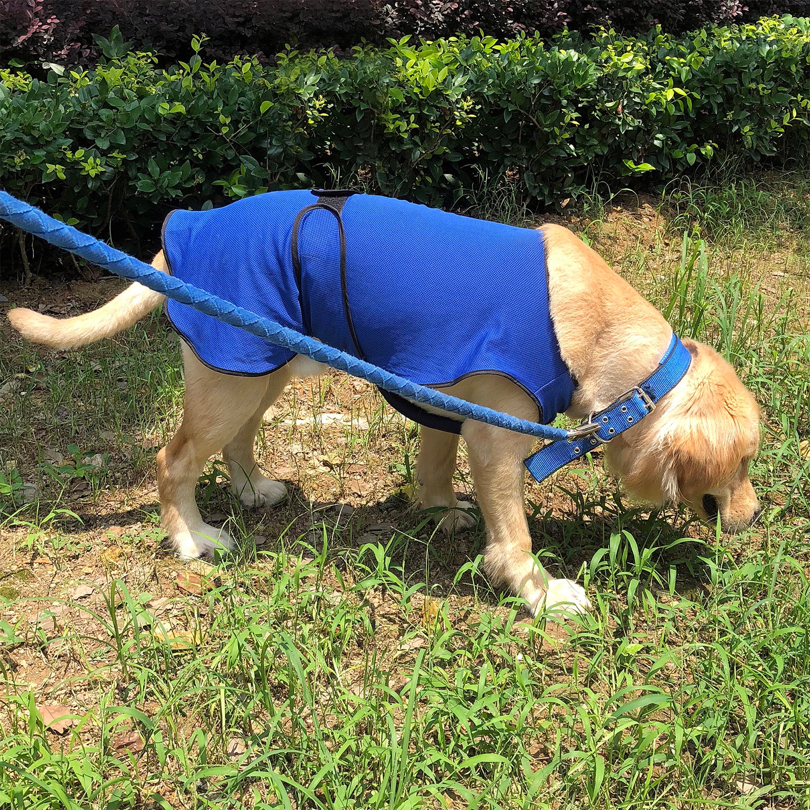 Pawhut Dog Pet Summer Cooling Cool Coat Vest Jacket Cooler Breathable Anti-bacterial Dark Blue , M , 50cm long