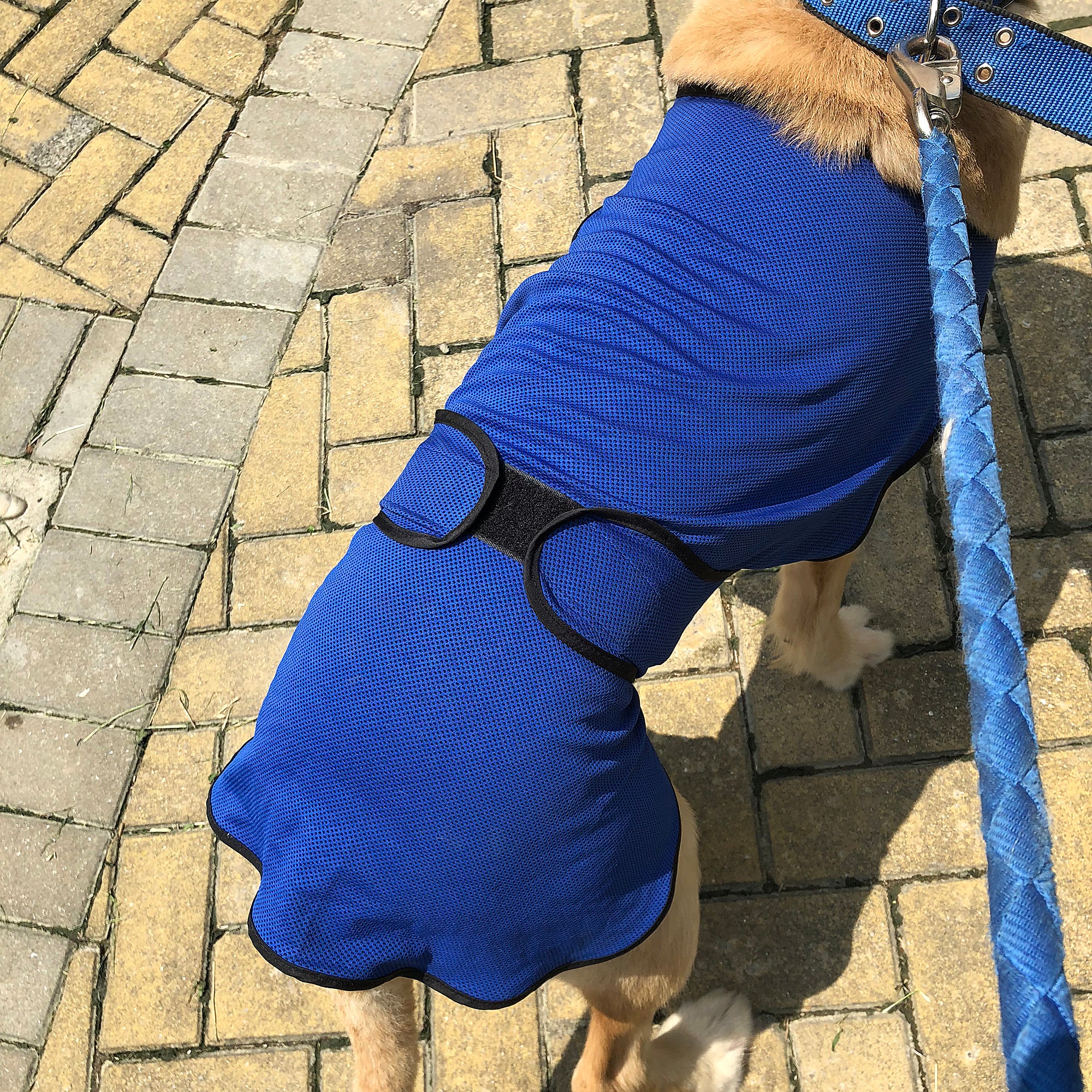 Pawhut Dog Pet Summer Cooling Cool Coat Vest Jacket Cooler Breathable Anti-bacterial Dark Blue , M , 50cm long