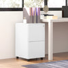 Vinsetto Vertical Steel Filing Cabinet on Wheels, 2-Drawer Lockable File Cabinet with Adjustable Hanging Bar for A4, Legal and Letter Size, White