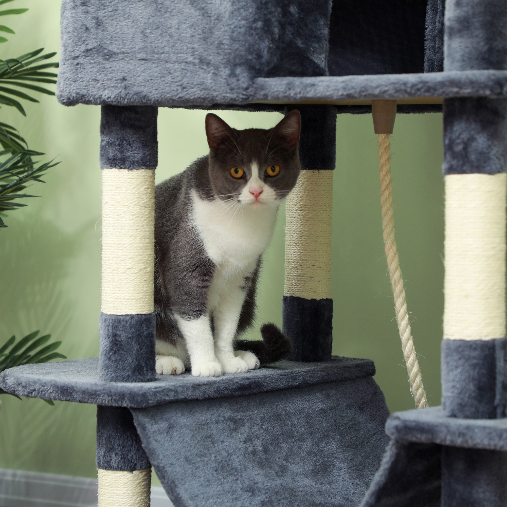 PawHut Cat Tower, 81" Cat Tree for Large Cats Adult w/ Scratching Posts, Scratching Board, Cat Condos, Cat Beds, Hammocks, Jumping Platforms, Toy Balls, Rope Cat Toy, Dark Grey