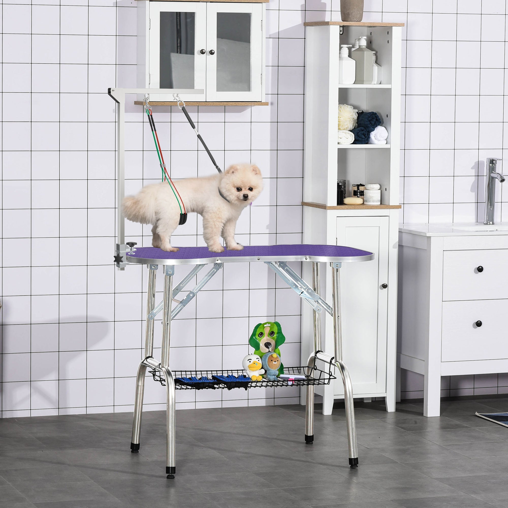 PawHut Foldable Pet Grooming Arm w/ Clamp 30 Inch Height Adjustable, Dog Grooming Loop, Two No Sit Haunch Holders for Small Medium Dogs, Sliver