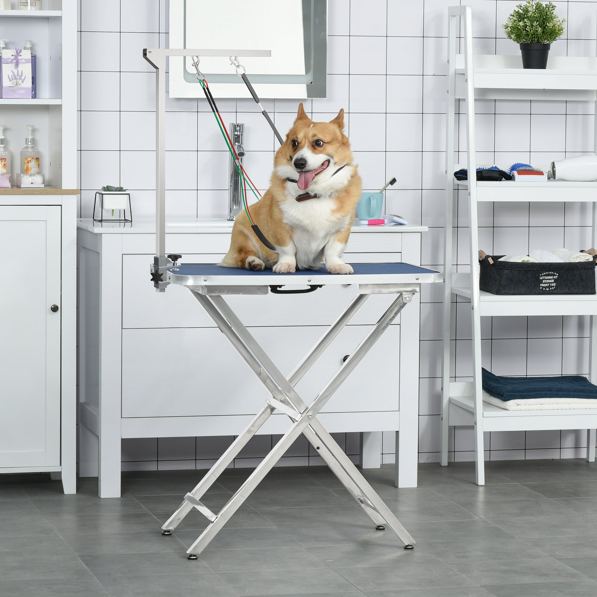 PawHut Foldable Pet Grooming Arm w/ Clamp 30 Inch Height Adjustable, Dog Grooming Loop, Two No Sit Haunch Holders for Small Medium Dogs, Sliver