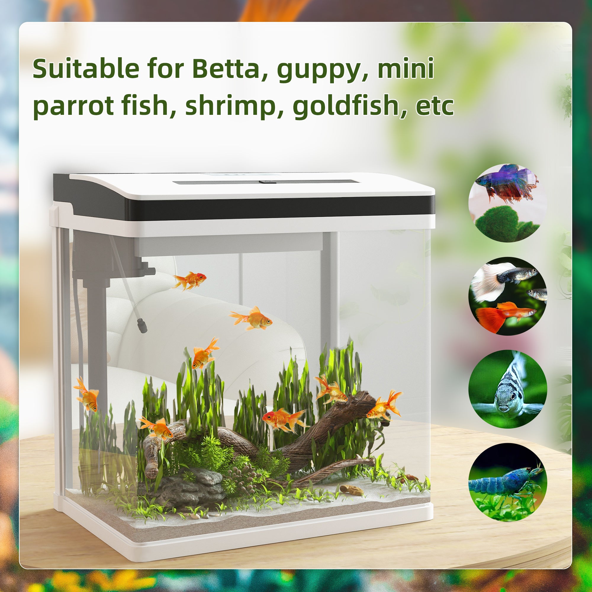 PawHut Aquarium, 28L Glass Fish Tank with Filter, LED Lighting, Water Pump, for Bettas, Guppies, Mini Parrot Fishes, Shrimp, Goldfish, 38 x 26 x 39.5cm