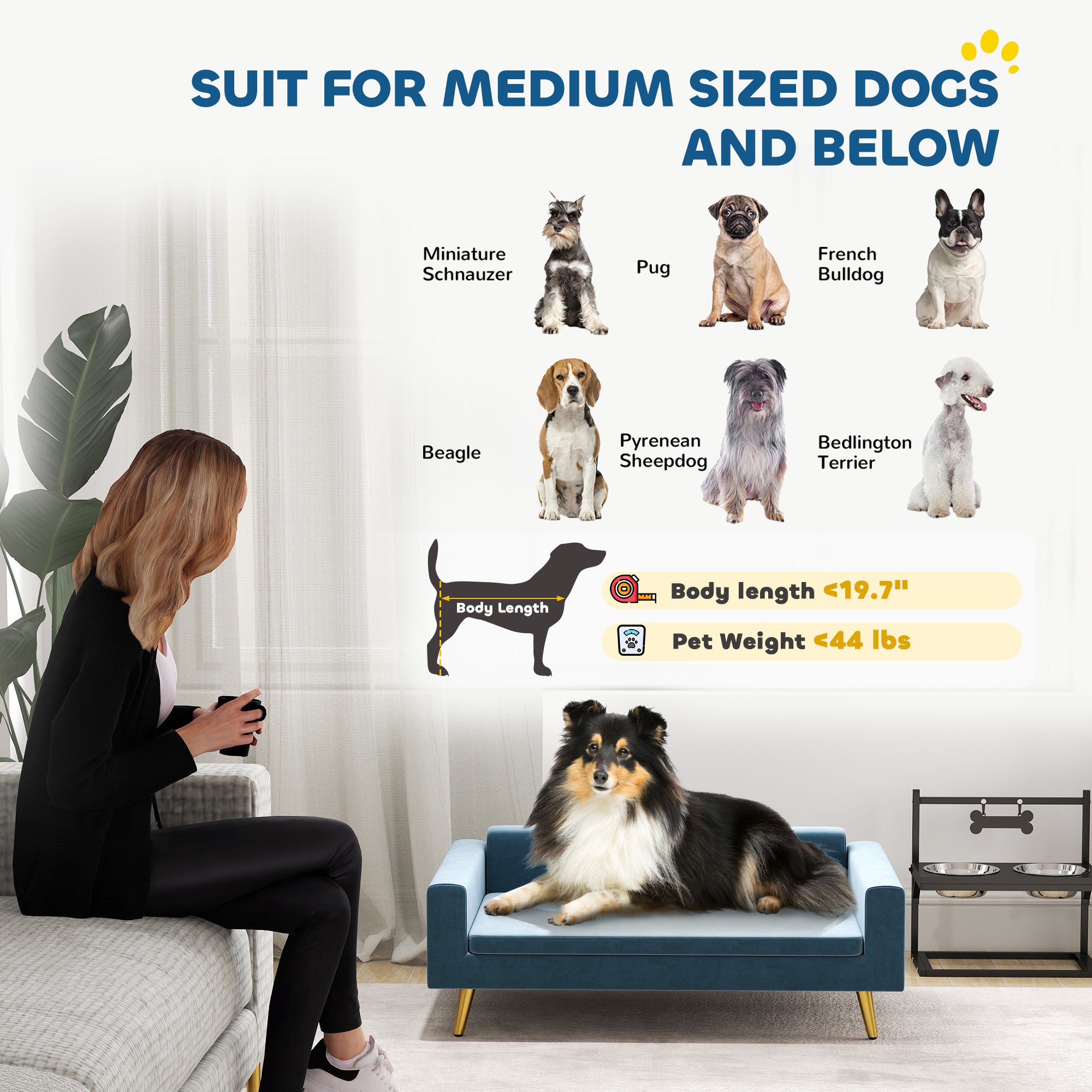 PawHut Dog Sofa, Pet Sofa Bed, Modern Velvety Dog Couch for Small to Medium Dogs, Includes Removable & Washable Cushion, Dark Blue