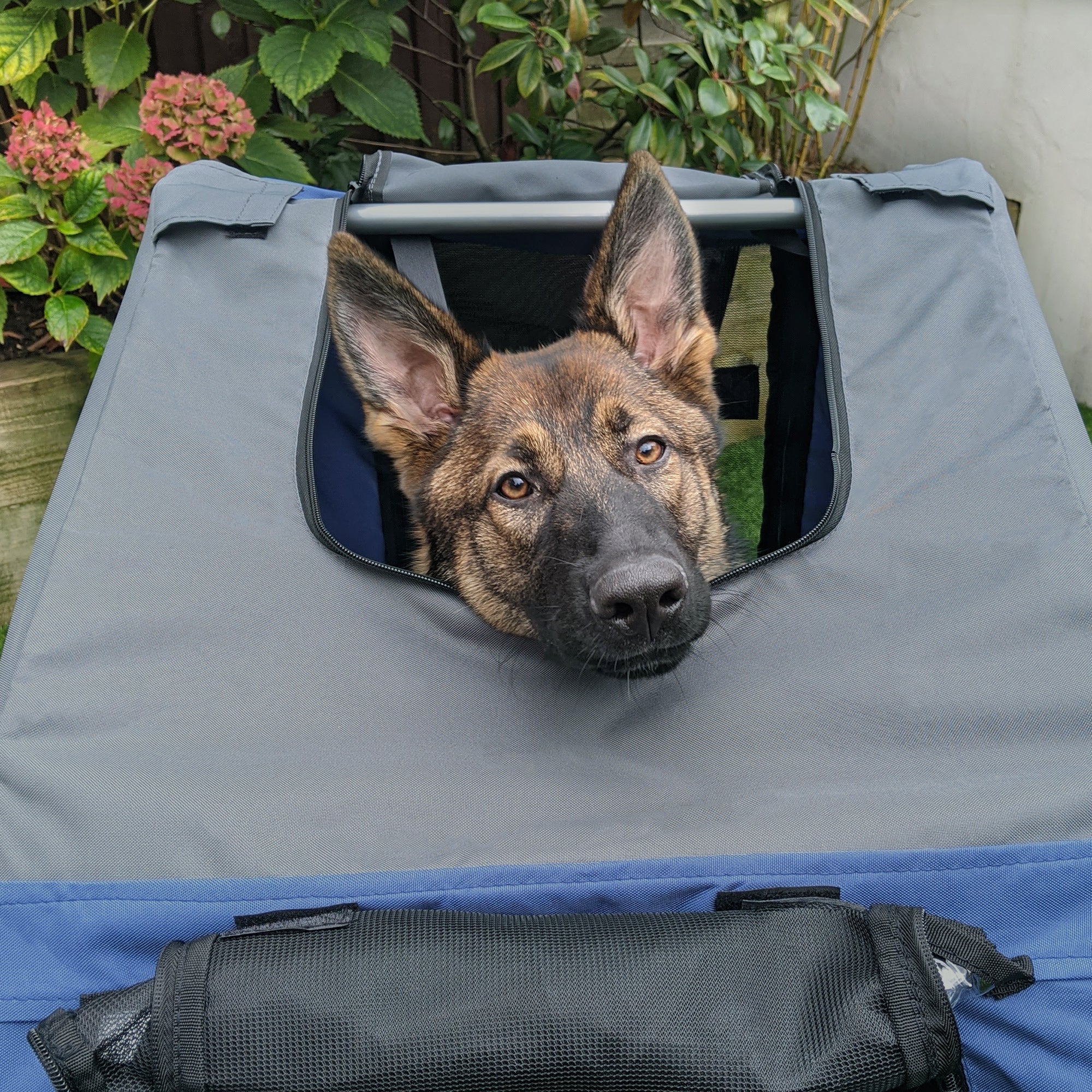 Aosom Dog Bike Trailer Pet Cart Bicycle Wagon Cargo Carrier Attachment for Travel with 3 Entrances Large Wheels for Off-Road & Mesh Screen, Blue