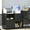 Vinsetto Lateral Filing Cabinet with Drawers and Lock, File Cabinet, Mobile Printer Stand with Open Shelves and Wheels for Letter and A4 Size Documents, Black