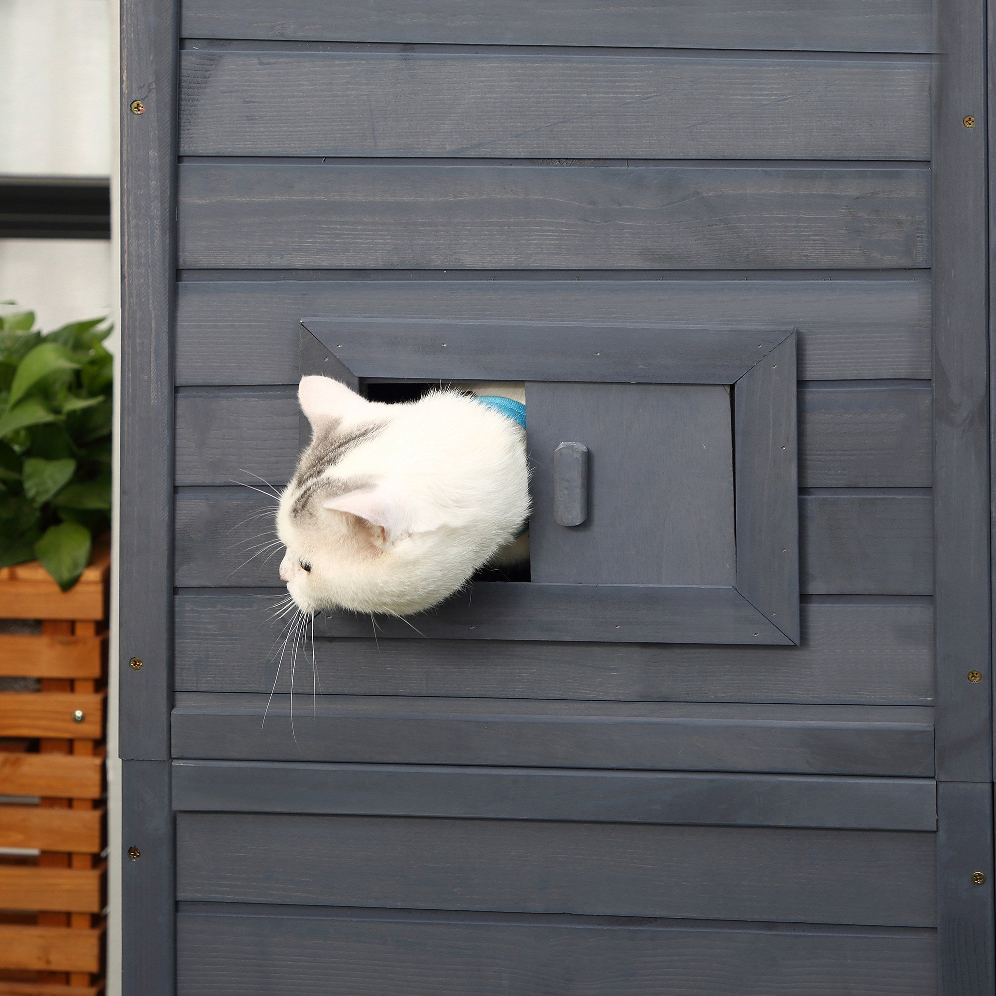 PawHut Large Wooden Outdoor Cat House with Large Run for Play, Catio for Lounging, and Condo Area for Sleeping, Grey