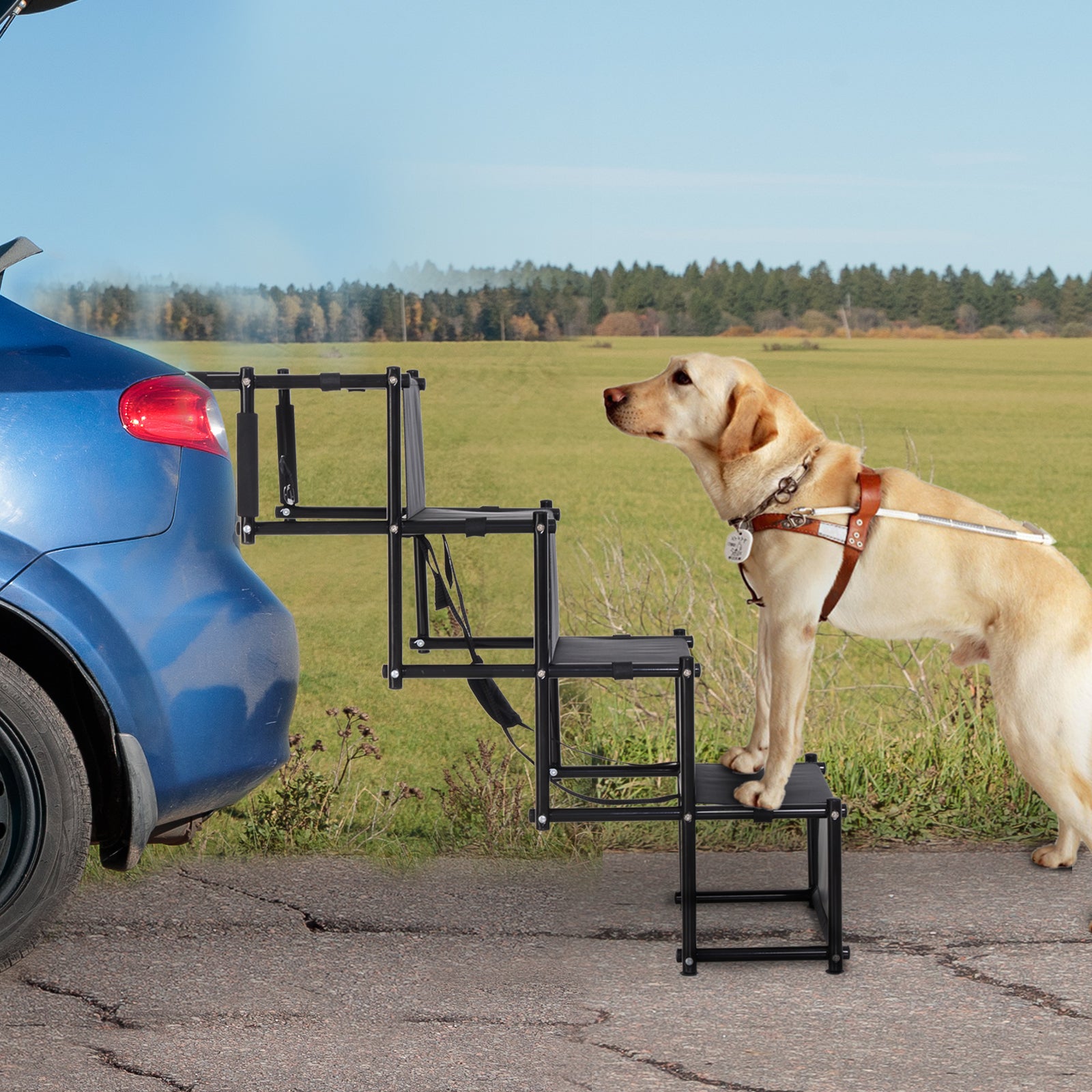 PawHut 4 Step Foldable Portable Pet Stairs Ramp Compact and Lightweight Nonslip Oxford Waterproof, includes safety tether for Indoor Outdoor Use, Black