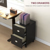 HOMCOM Vertical Filing Cabinet with 2 Drawers, Lockable File Cabinet with Adjustable Hanging Bars for A4 and Letter for Home Office, Black