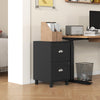 HOMCOM Vertical Filing Cabinet with 2 Drawers, Lockable File Cabinet with Adjustable Hanging Bars for A4 and Letter for Home Office, Black