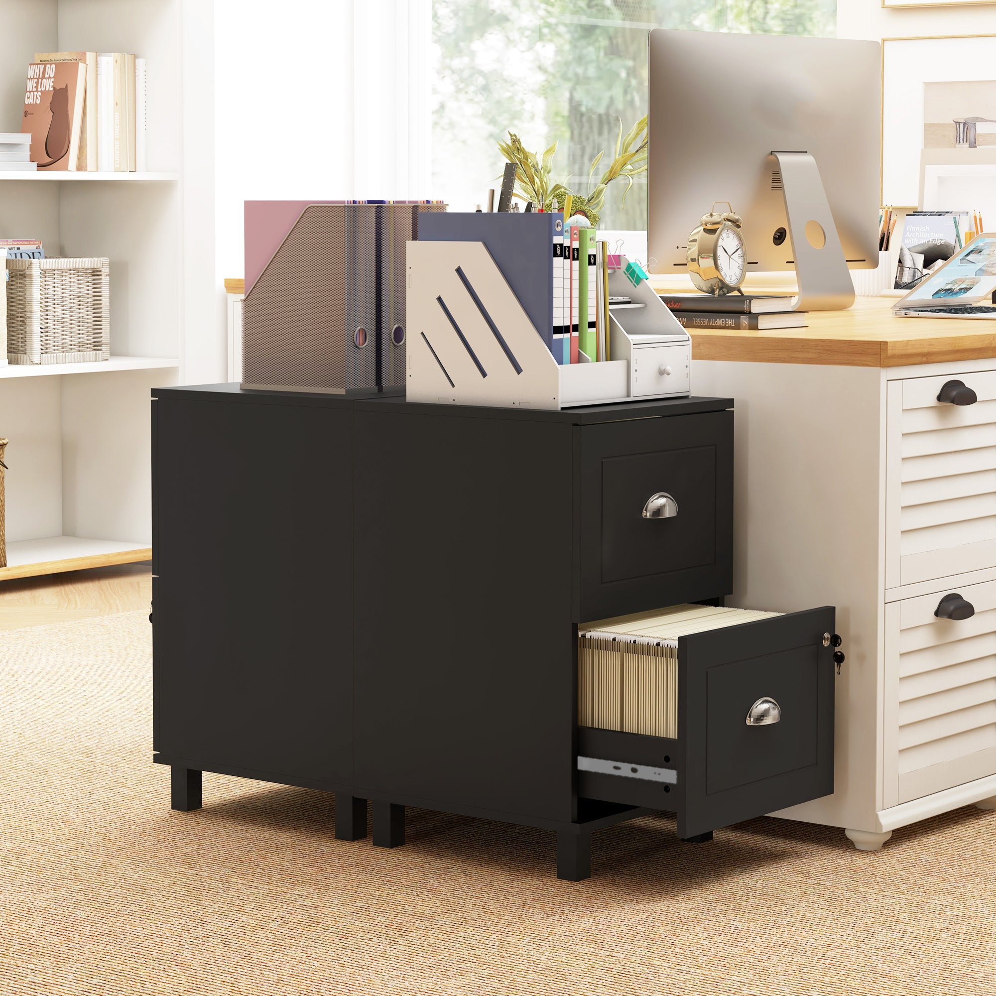 HOMCOM Vertical Filing Cabinet with 2 Drawers, Lockable File Cabinet with Adjustable Hanging Bars for A4 and Letter for Home Office, Black