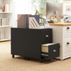 HOMCOM Vertical Filing Cabinet with 2 Drawers, Lockable File Cabinet with Adjustable Hanging Bars for A4 and Letter for Home Office, Black