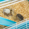 PawHut Hamster Cage, Large Small Animal House, 5-Level Guinea Pig Cage Gerbil Haven, Tunnel Tube System, with Water Bottle, Exercise Wheel, Food Dish, Ramps, Light Blue