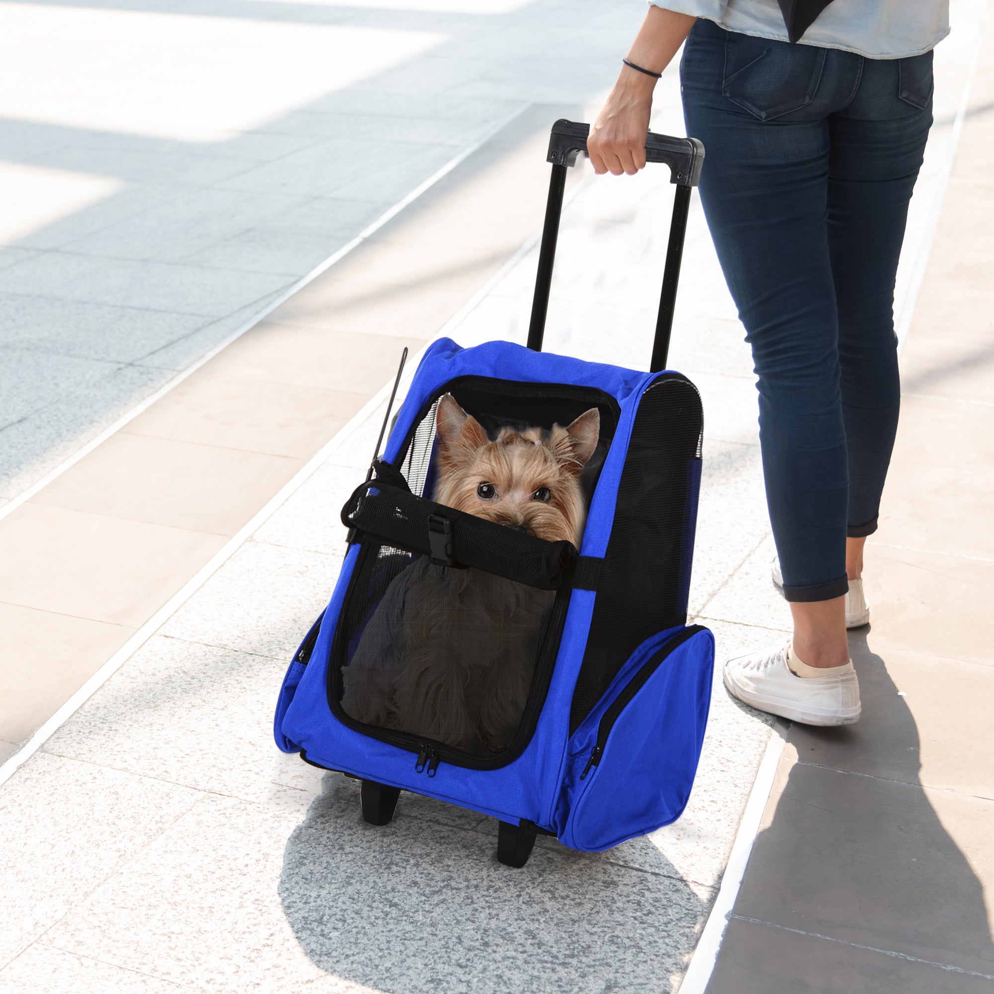 PawHut 2-IN-1 Pet Luggage Box Backpack Carrier Cats Dogs w/ Handle, Rolling Wheel Blue