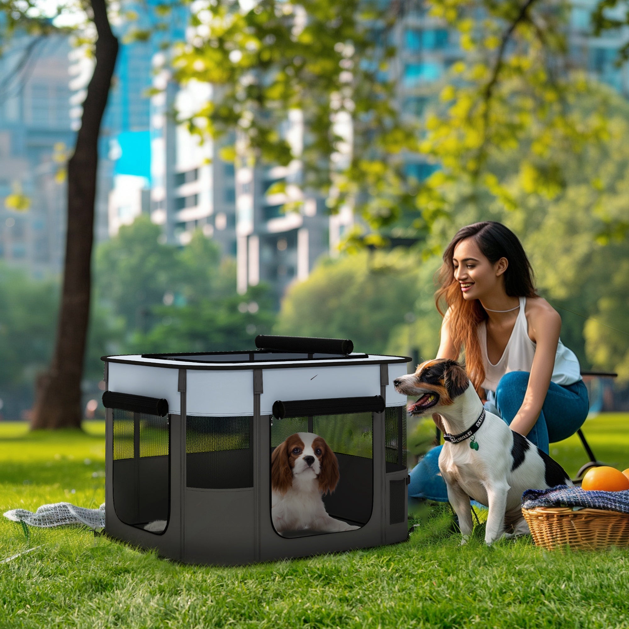 PawHut Dog Pen, Pet Playpen, Portable Foldable Dog Cat Playpen Soft Dog Cage with Storage Bag for Puppies, Rabbits, Kittens, Guinea Pigs, 74 x 60 x 45cm - Grey