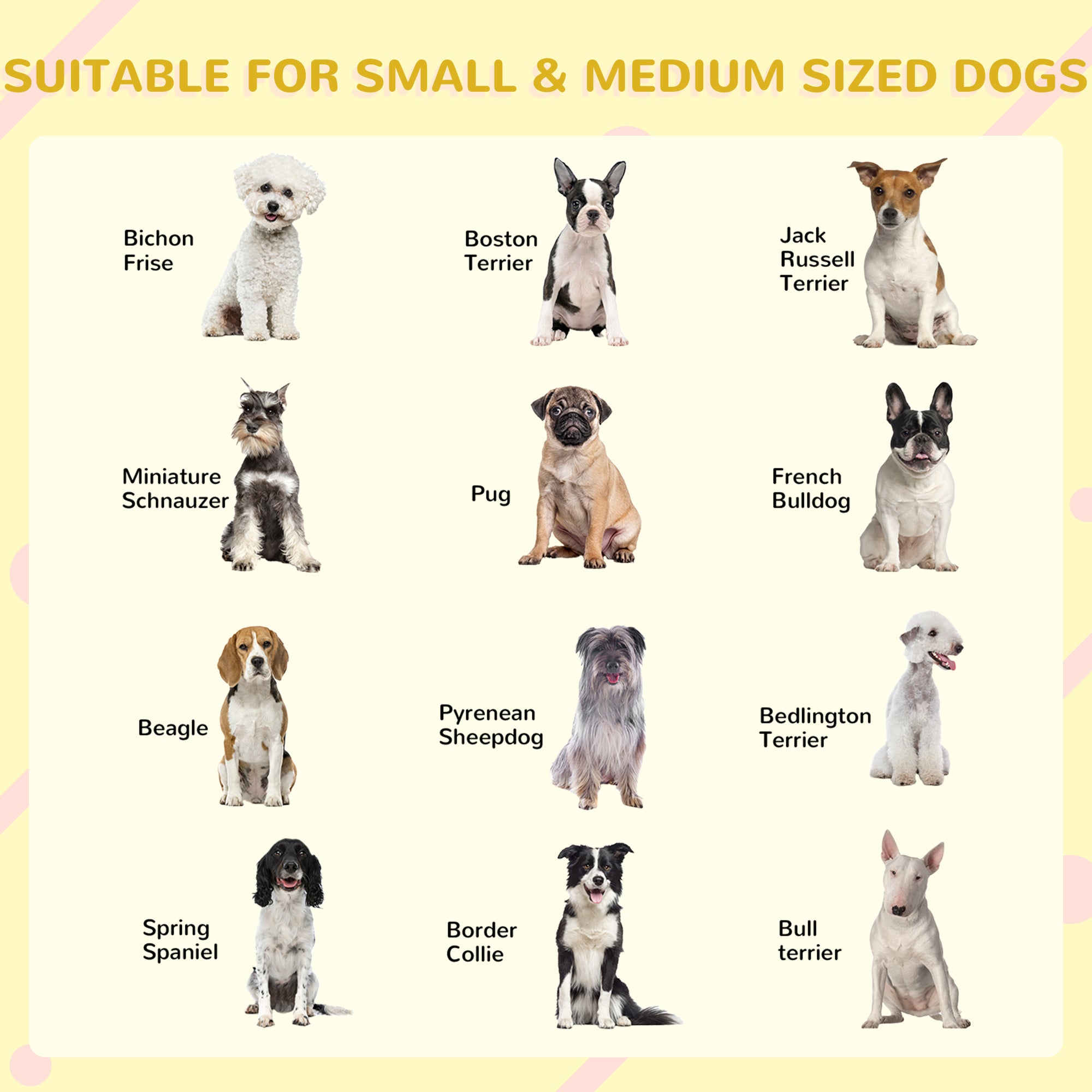 PawHut 50" Wooden Dog House Outdoor for 2 Medium or Small Dogs, Cabin Style Double Dog House with Porch, 2 Doors, Elevated Floor, Natural Wood