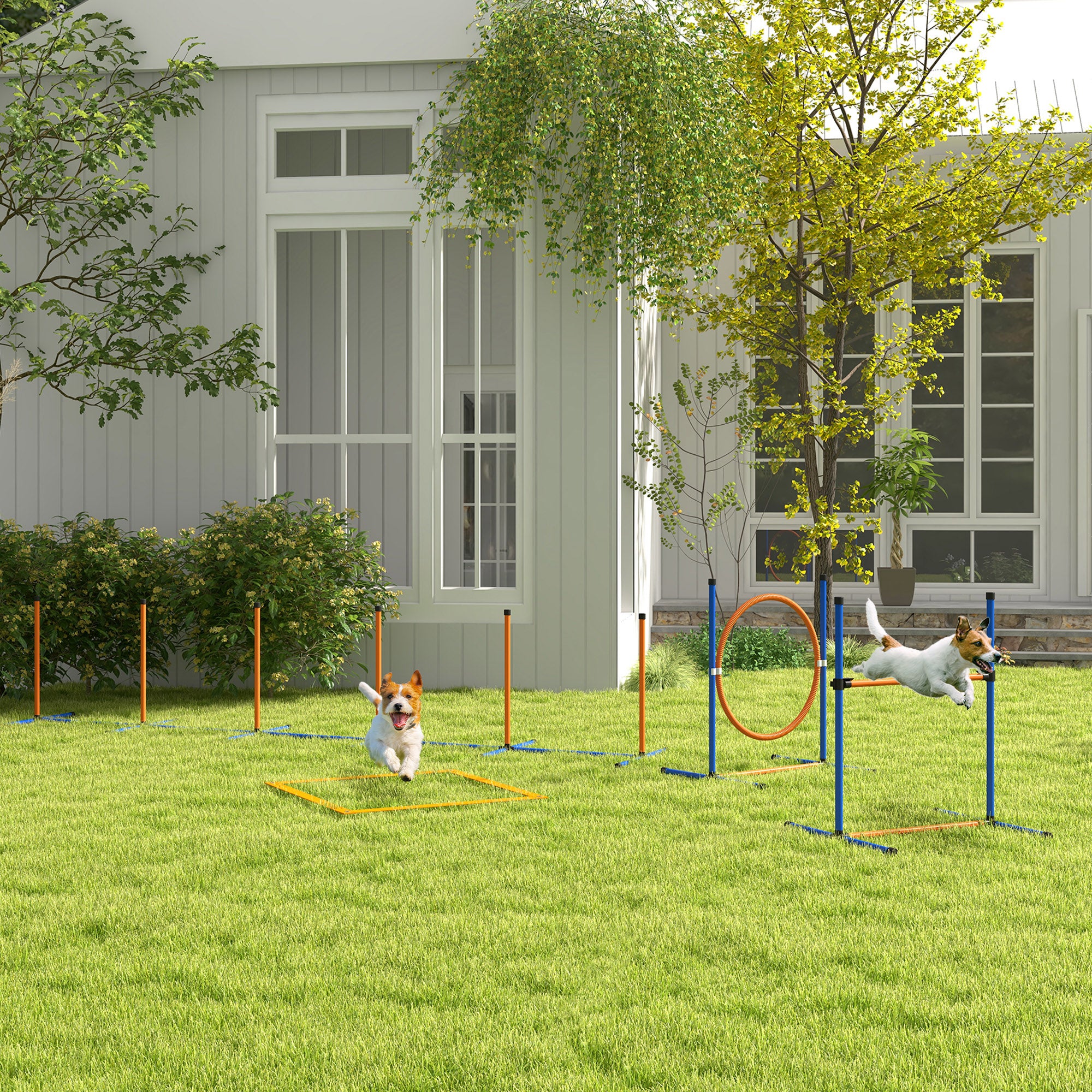 PawHut Dog Agility Training Equipment, Dog Outdoor Games with Weave Poles, Jump Ring, Pause Box, Adjustable Hurdle, Pet Obstacle Course Training Set with Carry Bag, Orange