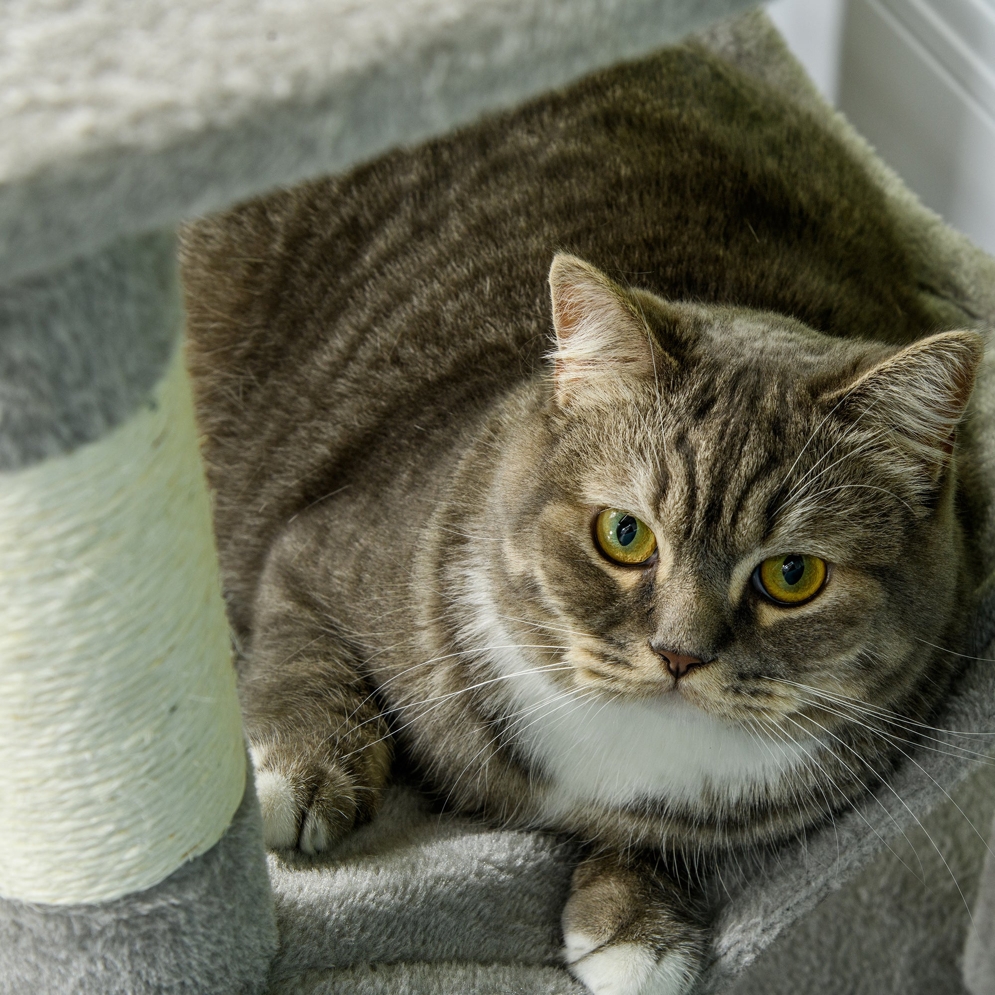 PawHut Tall Cat Tree for Indoor Cats, 57" Multi-Level Cat Tower with Hammock, Cat Bed, Cat Condo with Sisal Scratching Posts, Grey