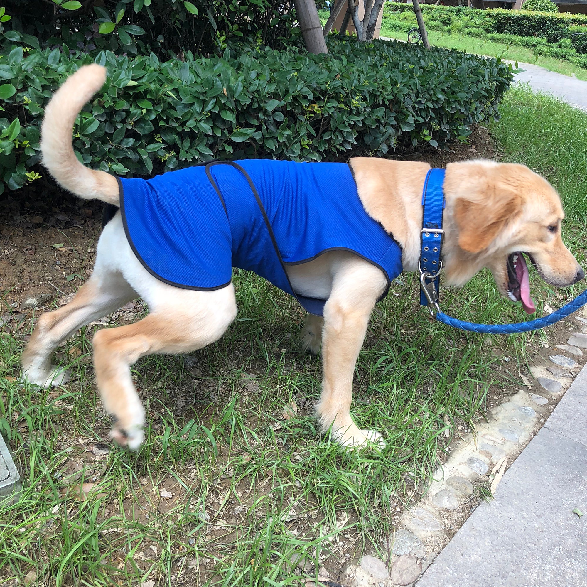 Pawhut Dog Pet Summer Cooling Cool Coat Vest Jacket Cooler Breathable Anti-bacterial Dark Blue , L , 60cm long