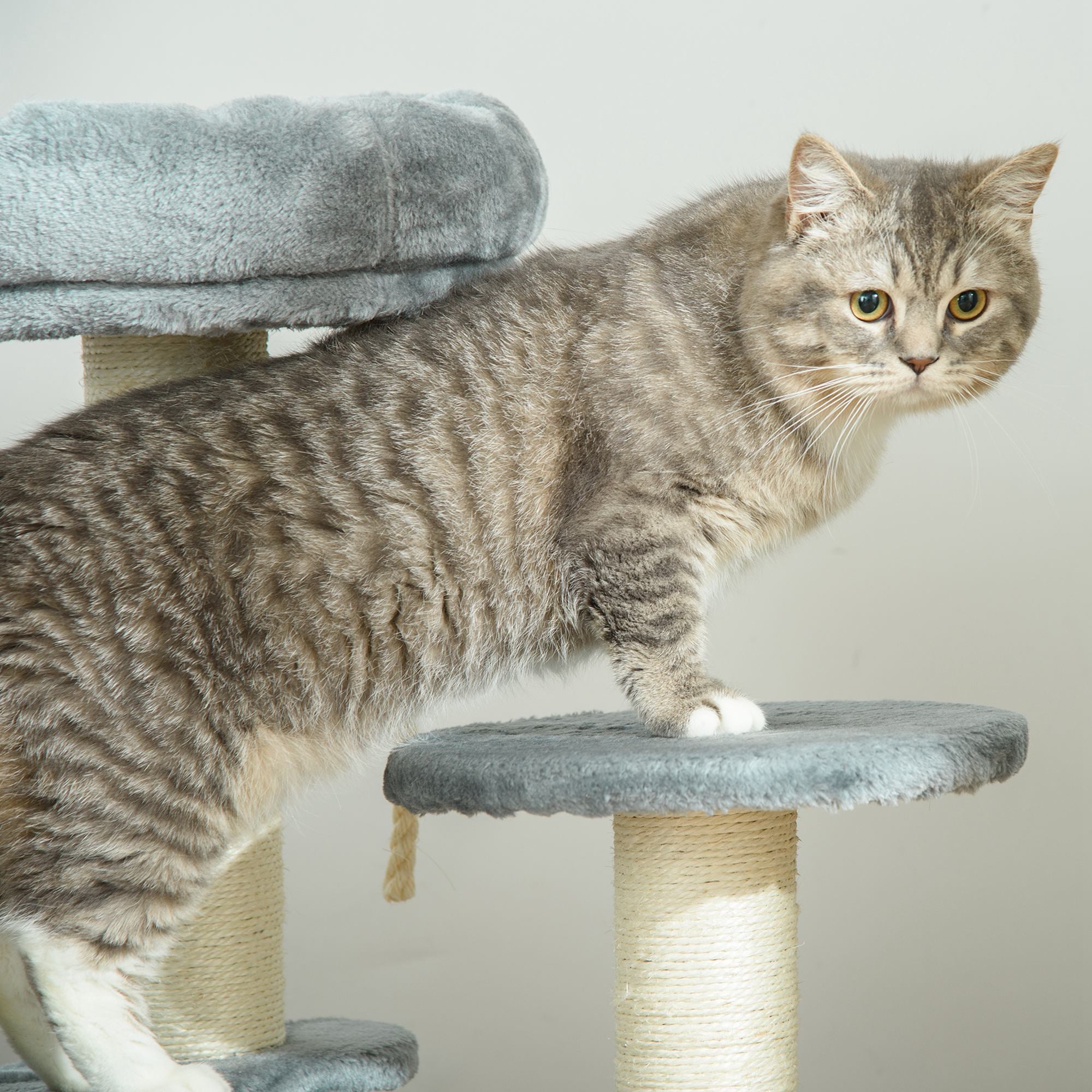 PawHut 26" Cat Scratching Tree Kitty Playhouse Activity Center 2 Perch w/ Sisal Rope Grey