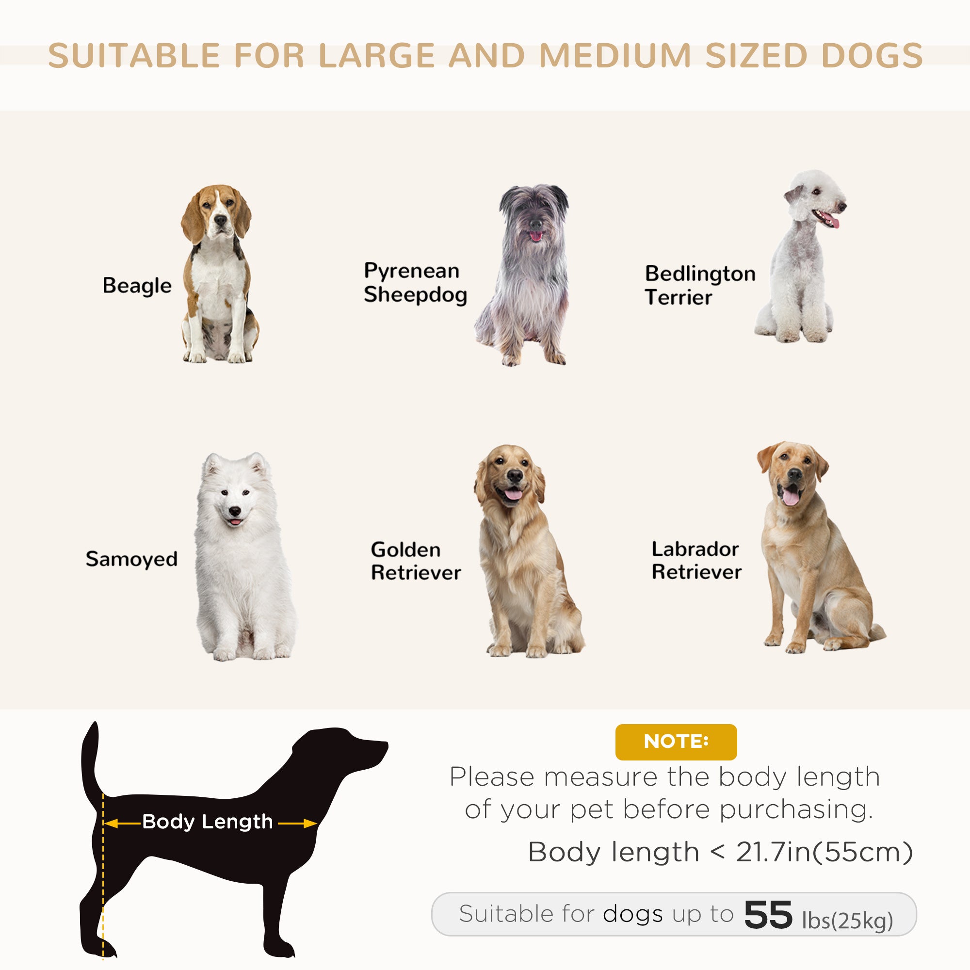 PawHut Modern Pet Sofa Cat or Medium Large Dog Bed W/ Removable Seat Cushion, Light Grey