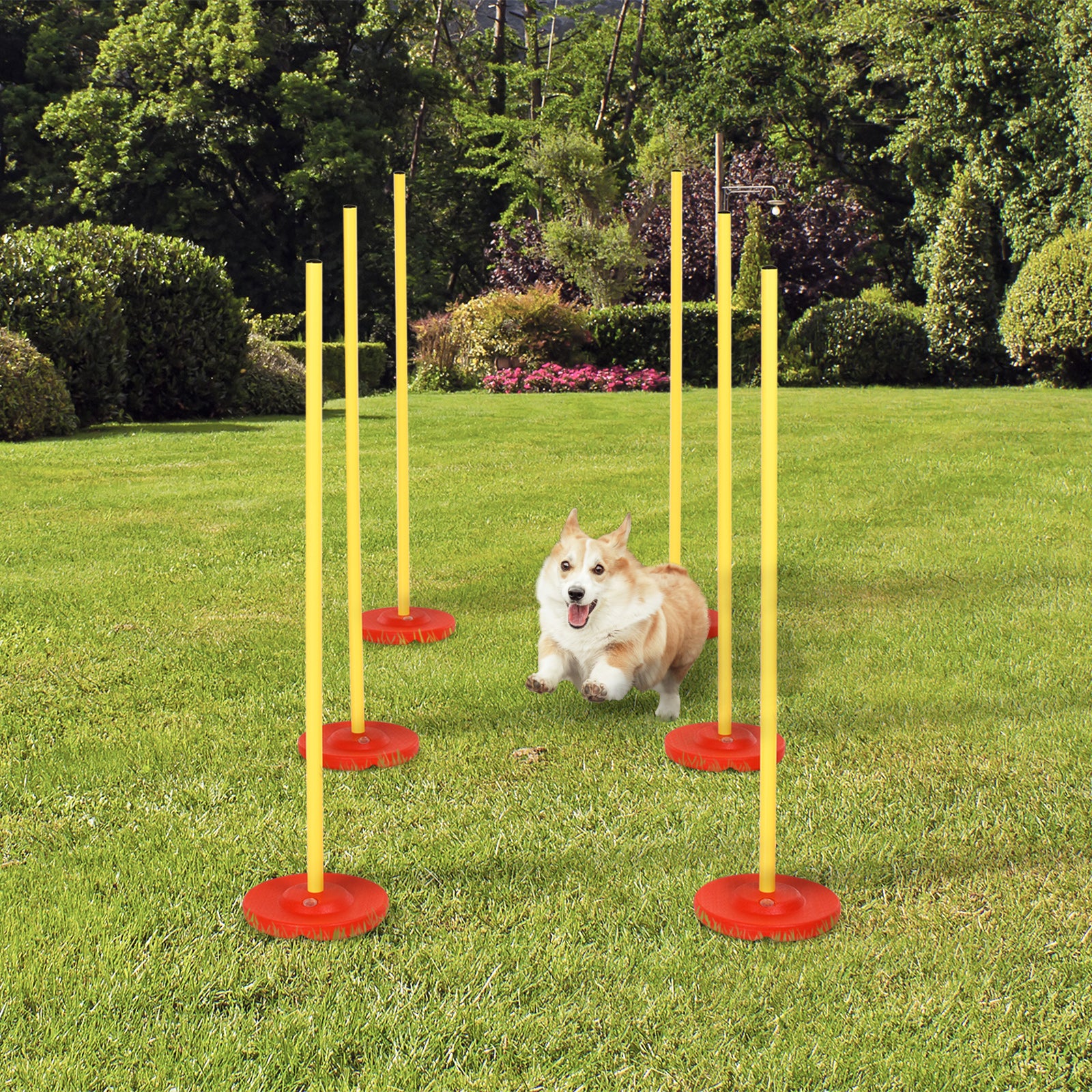 PawHut Dog Agility Training Equipment Fun Pet Obstacle Course Set Dog Agility Hurdle w/ Weaves Poles, Storage Bag for Pet Dog Outdoor Garden Patio Games Training