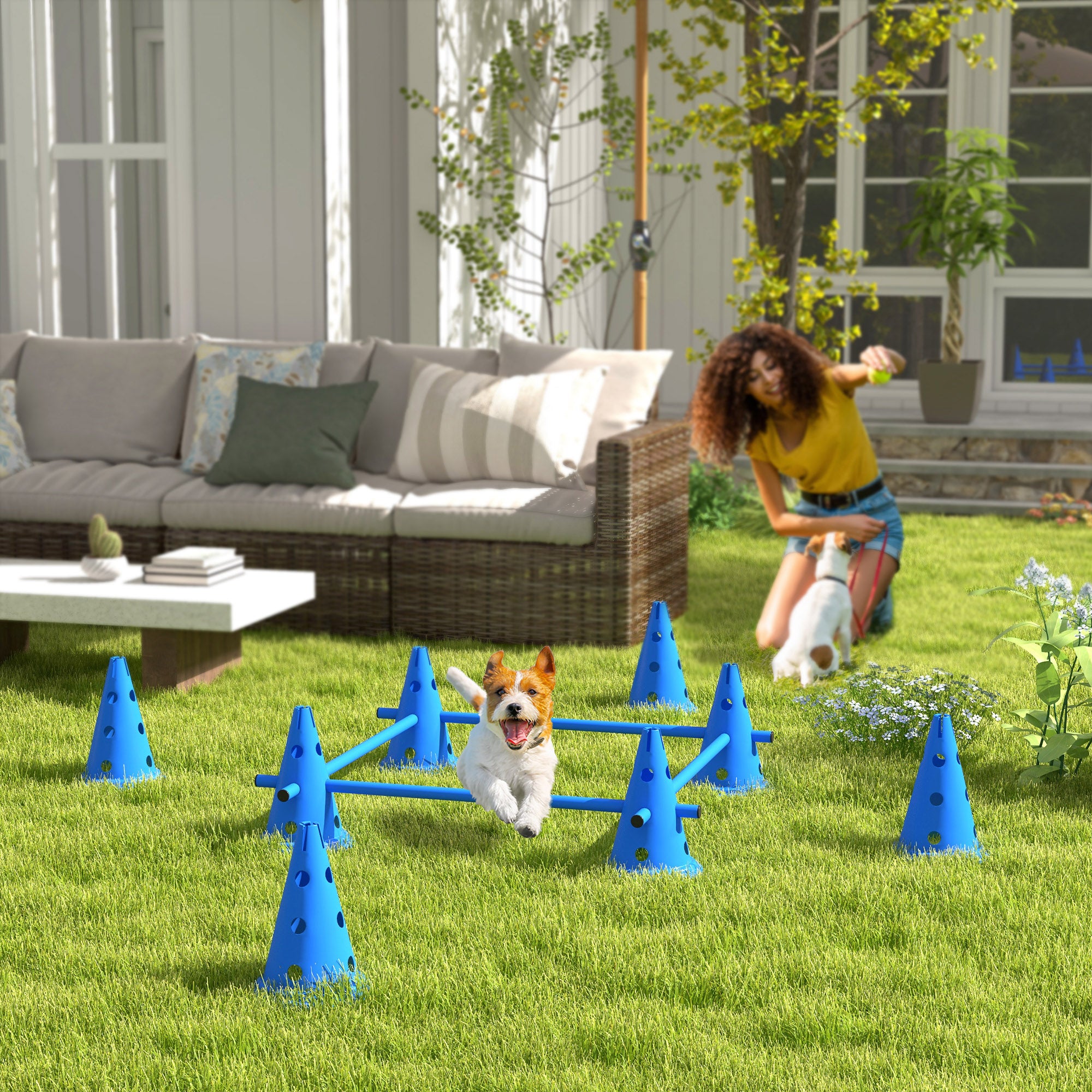 PawHut Set of 4 Dog Agility Hurdle Cone Set Agility Training Equipment 8 Cones 4 Rods Starter Kit with carrying bag Blue