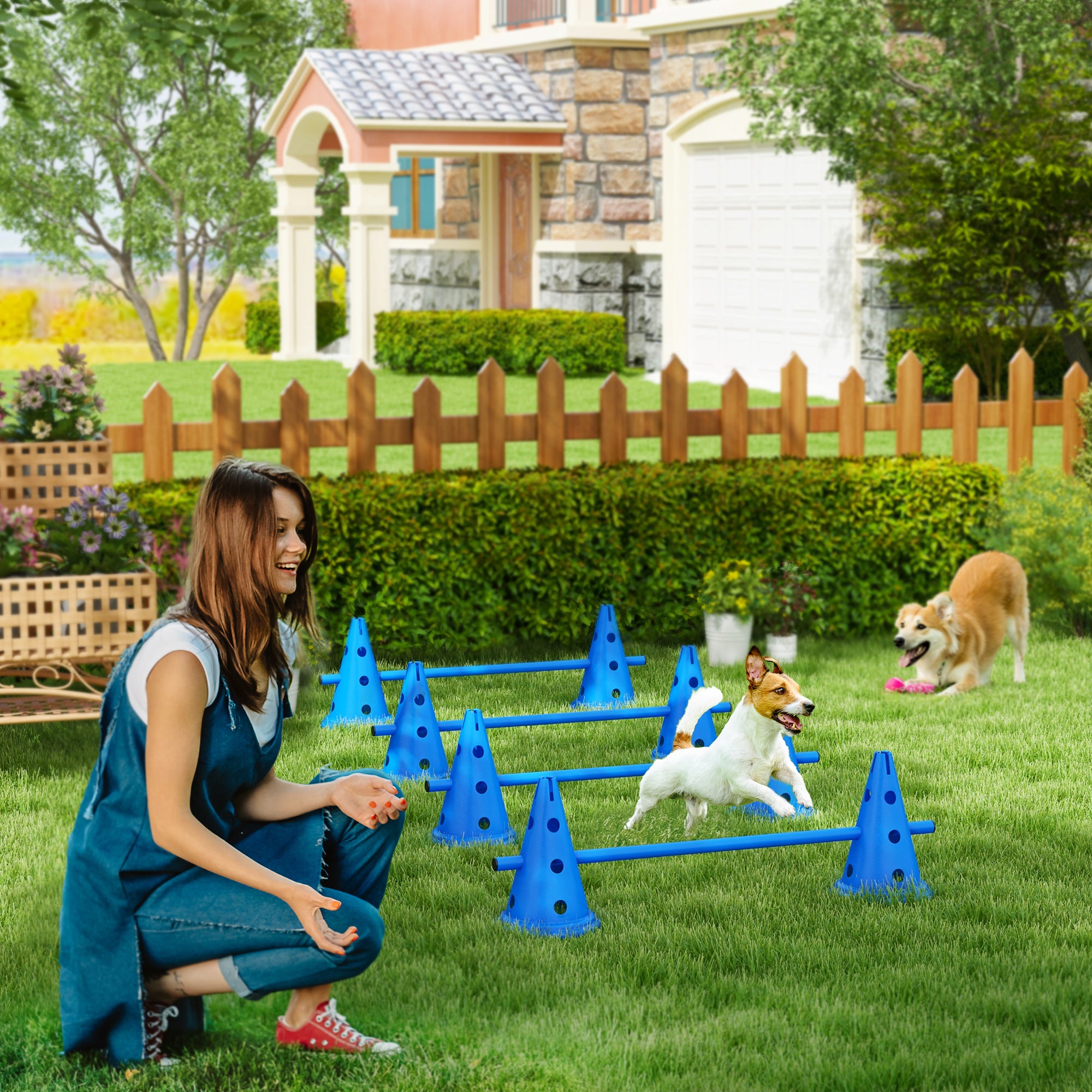 PawHut Set of 4 Dog Agility Hurdle Cone Set Agility Training Equipment 8 Cones 4 Rods Starter Kit with carrying bag Blue
