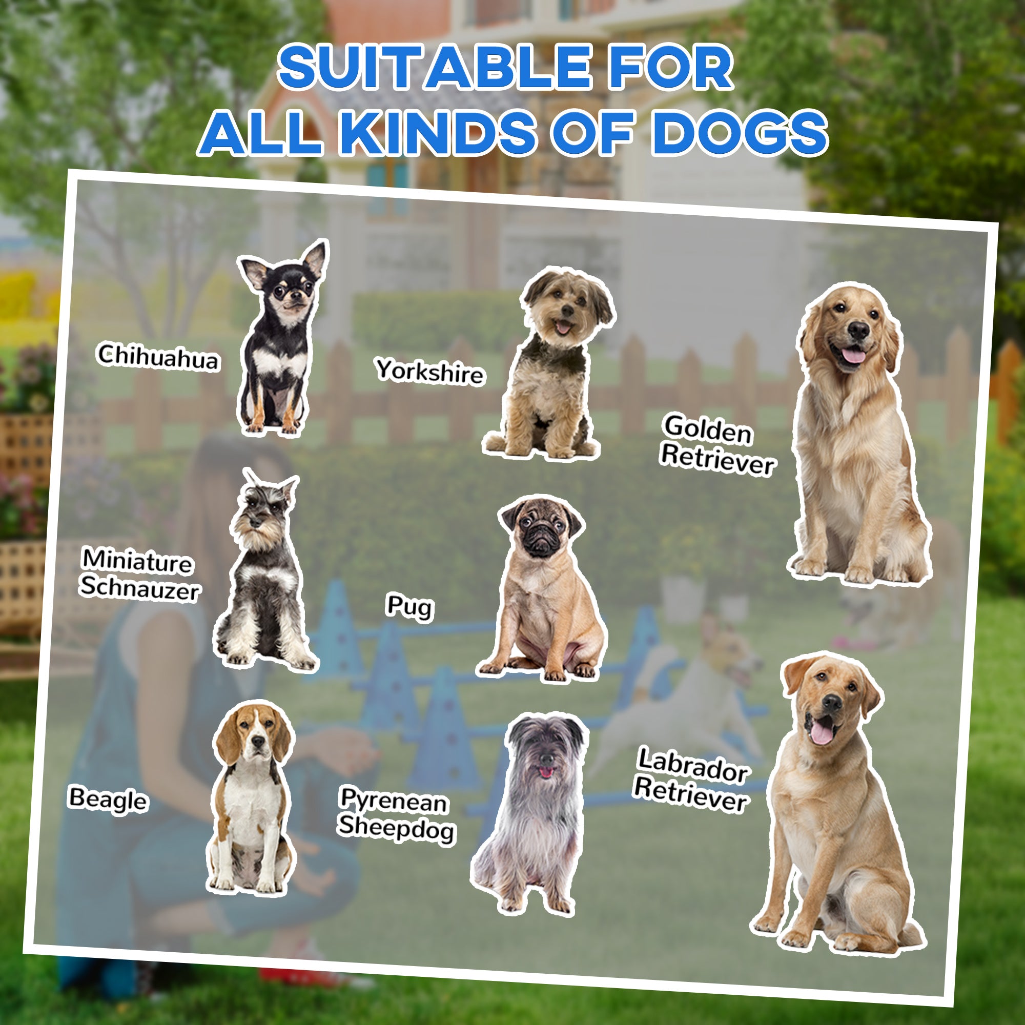 PawHut Set of 4 Dog Agility Hurdle Cone Set Agility Training Equipment 8 Cones 4 Rods Starter Kit with carrying bag Blue